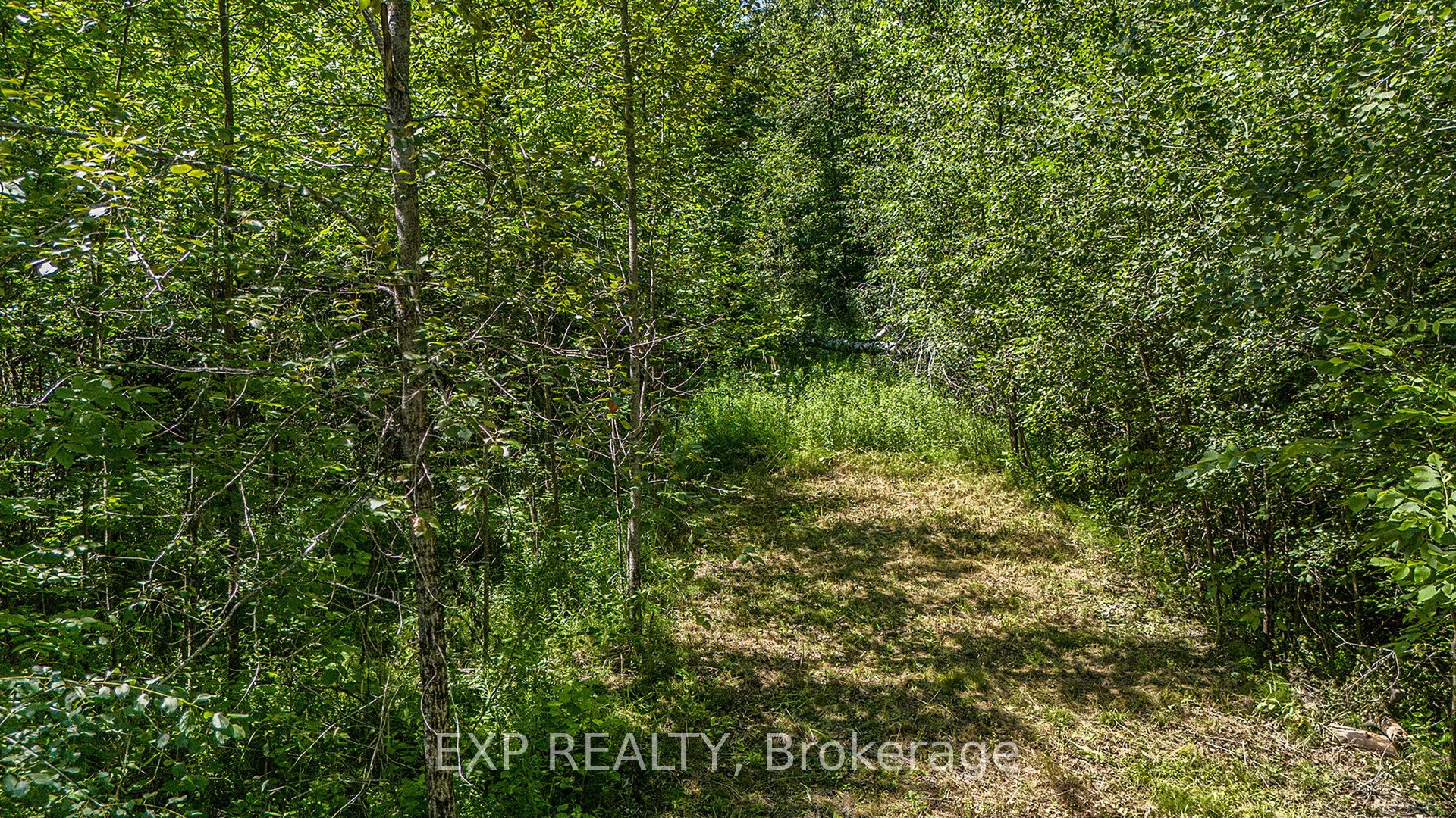 0000 Drummond Conc 7 Concession Property Photo 8