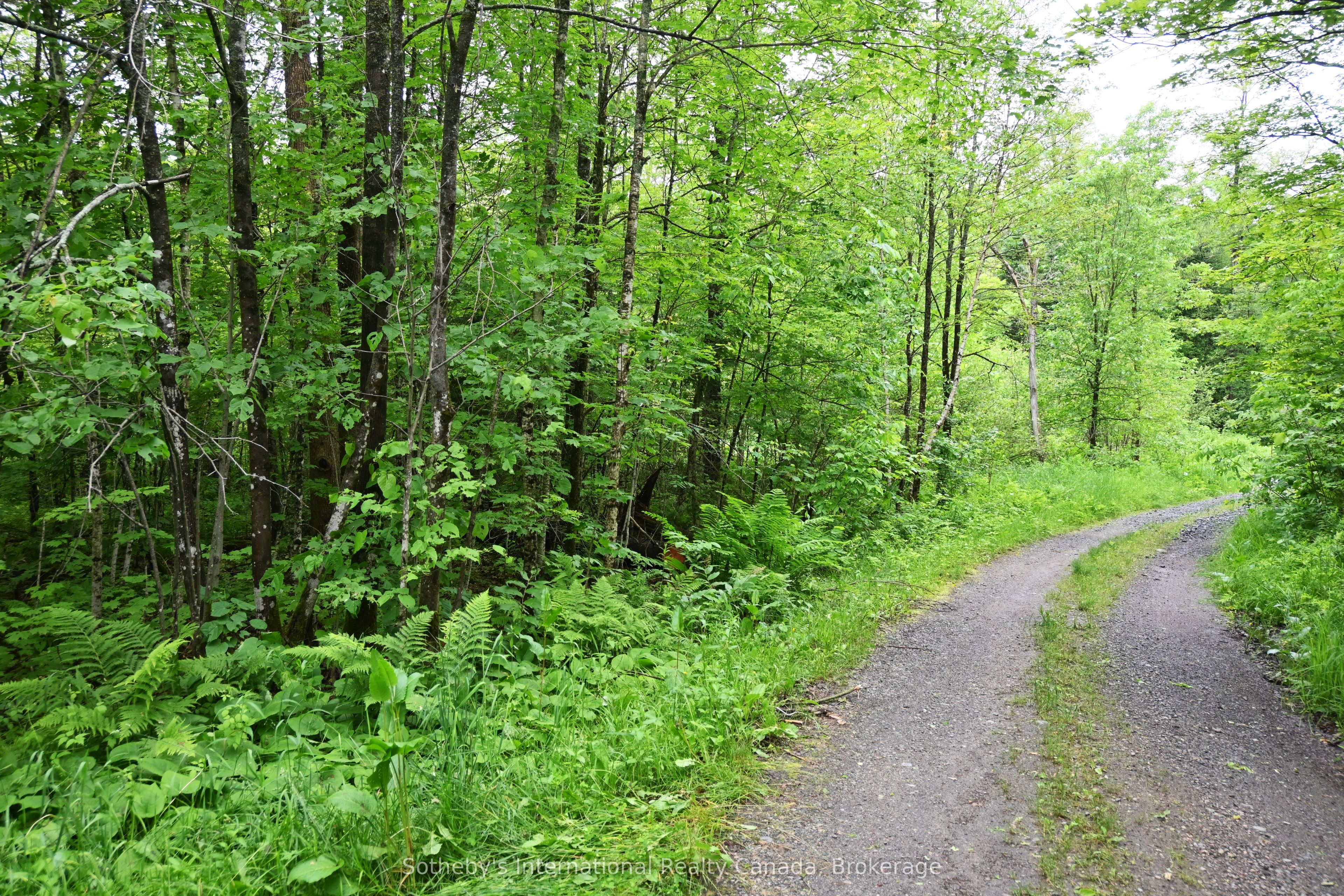 597 (lot 3) Fords Road Property Photo 1