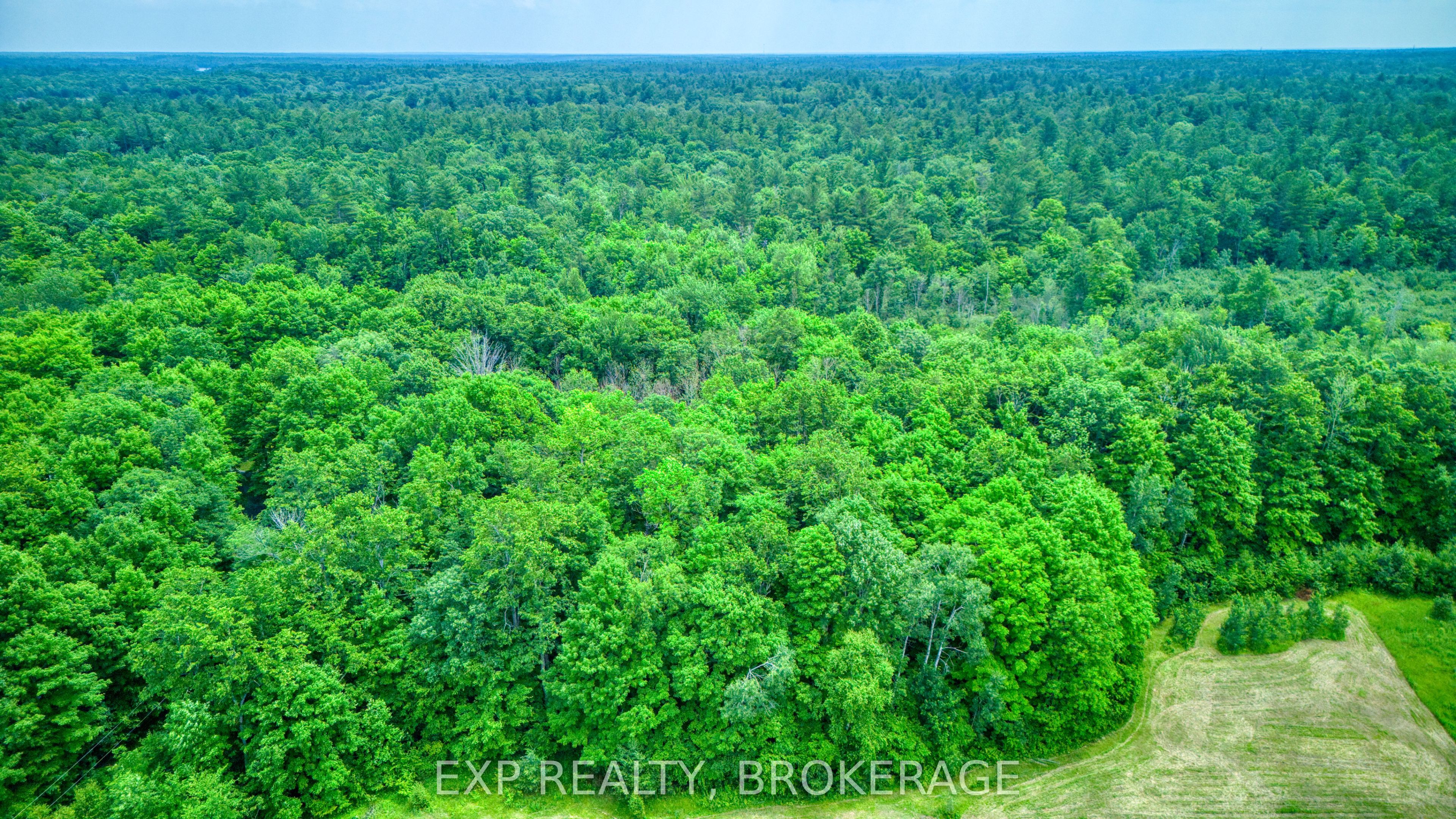 2260 Fifth Lake Road Property Photo 10