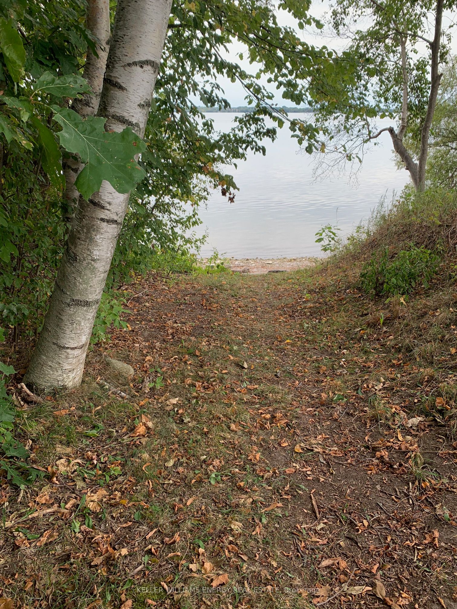 326 Cressy Bayside Road Property Photo 41