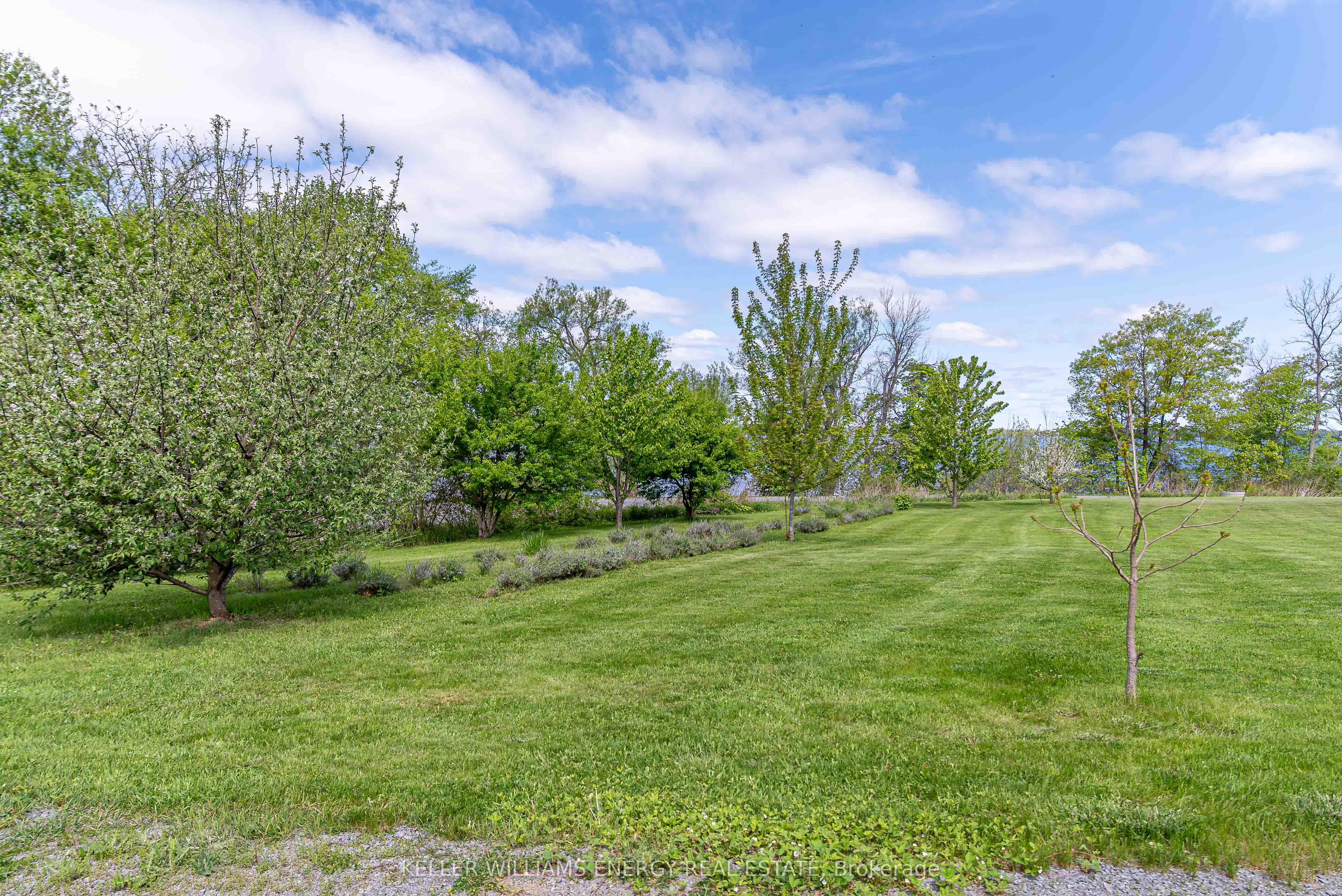 326 Cressy Bayside Road Property Photo 46