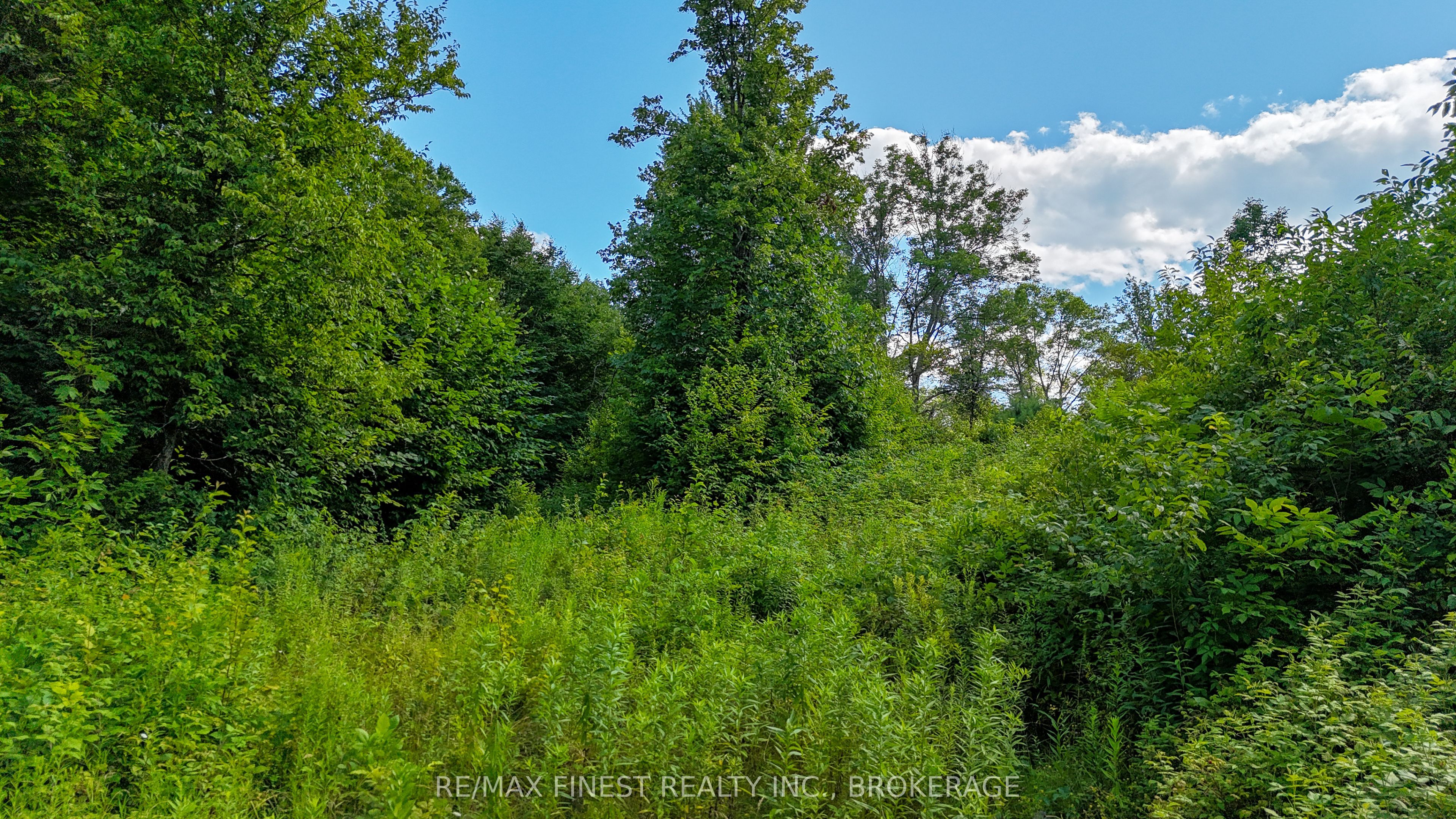 Lot 14 -15 0 Thunder Lane Property Photo 6