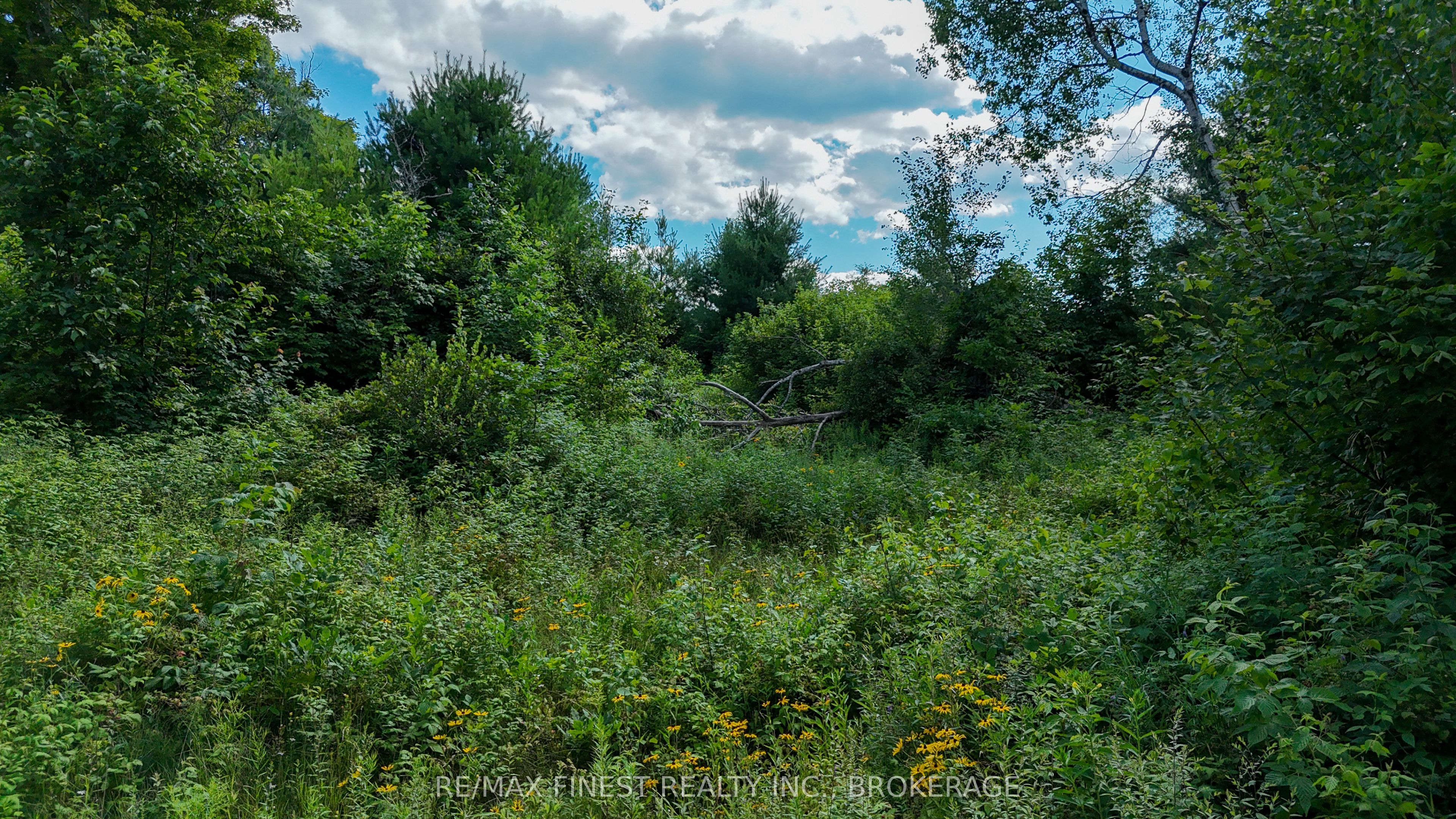 Lot 14 -15 0 Thunder Lane Property Photo 9
