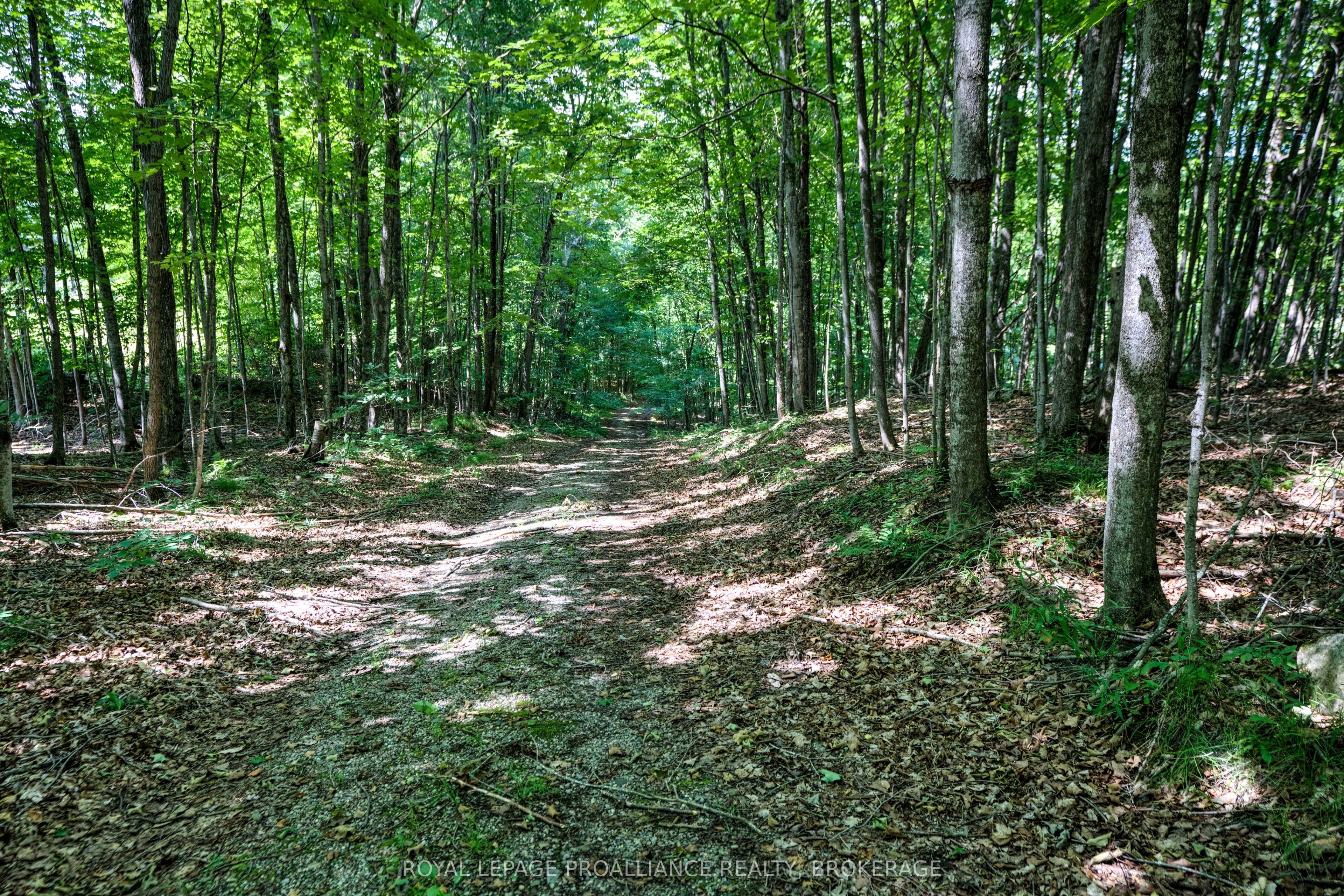 98 Rocky Ridge Lane Property Photo 3