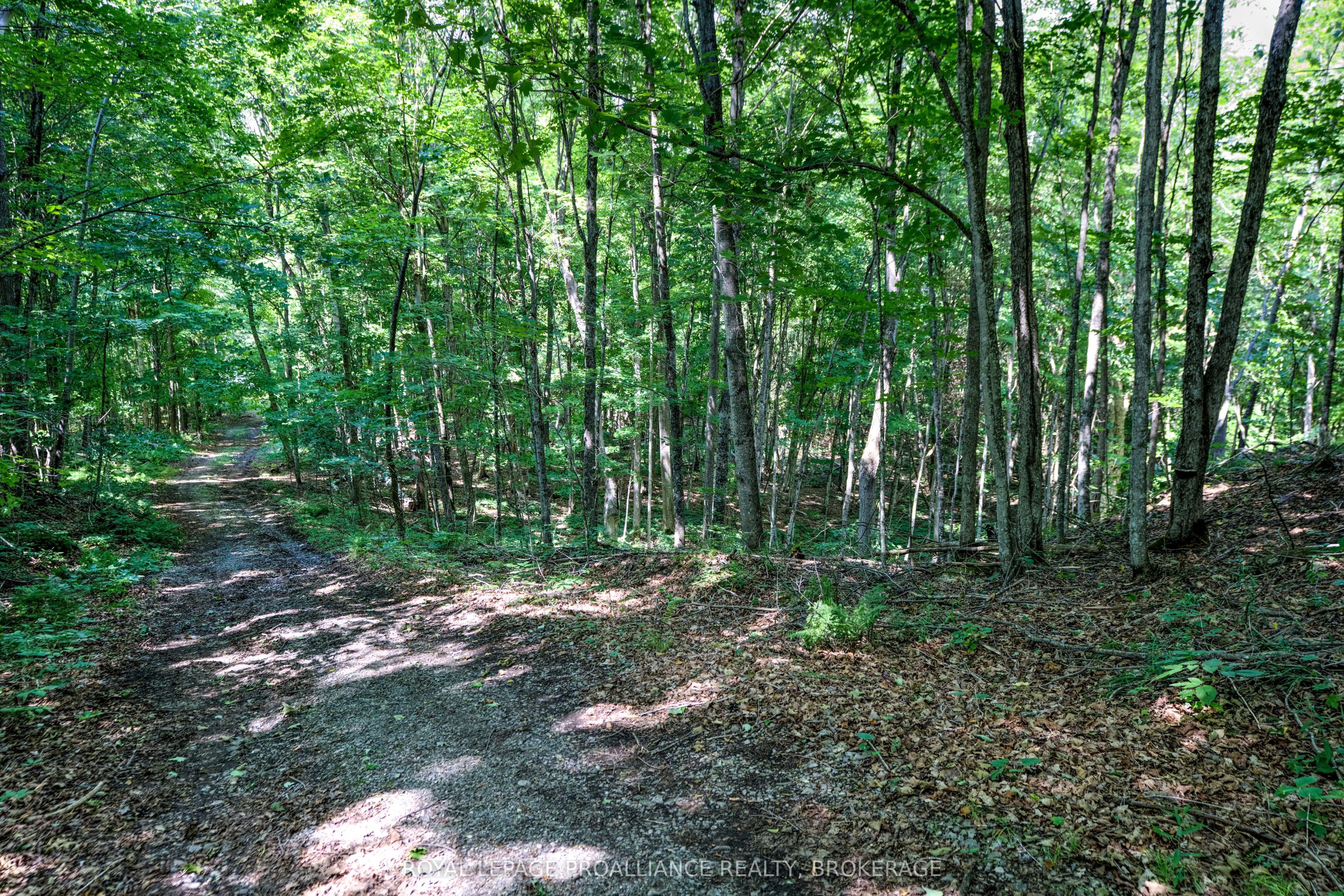 98 Rocky Ridge Lane Property Photo 4
