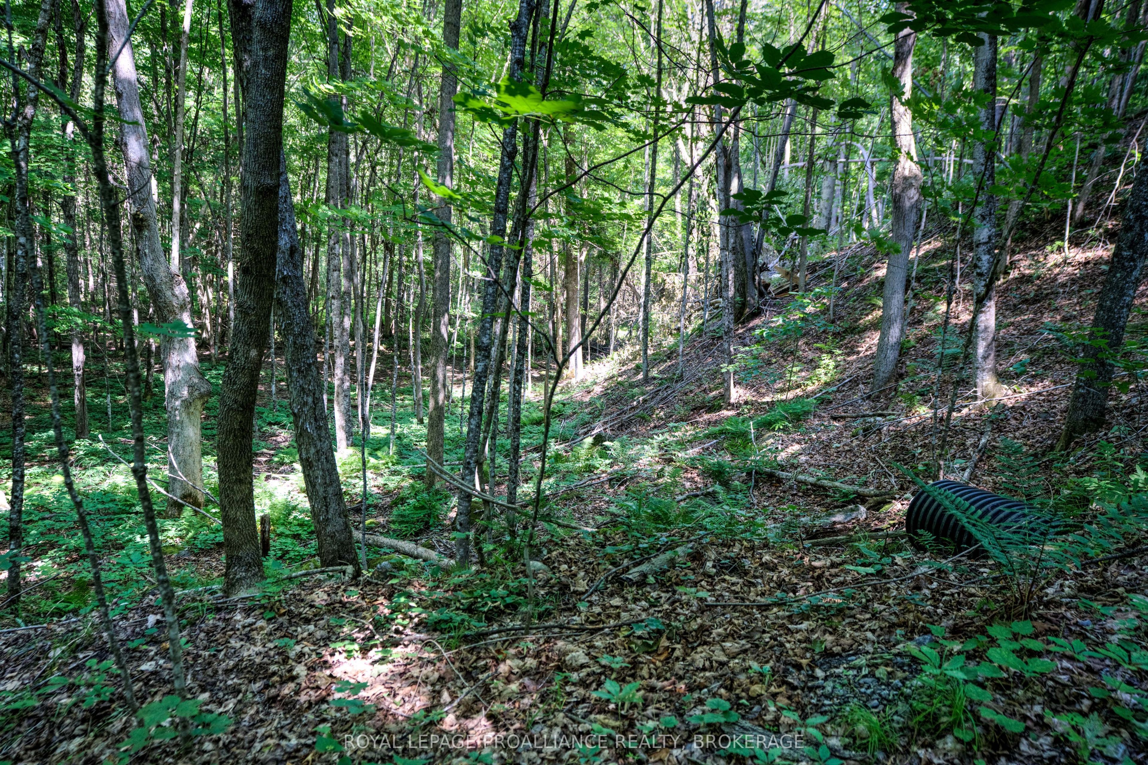 98 Rocky Ridge Lane Property Photo 5