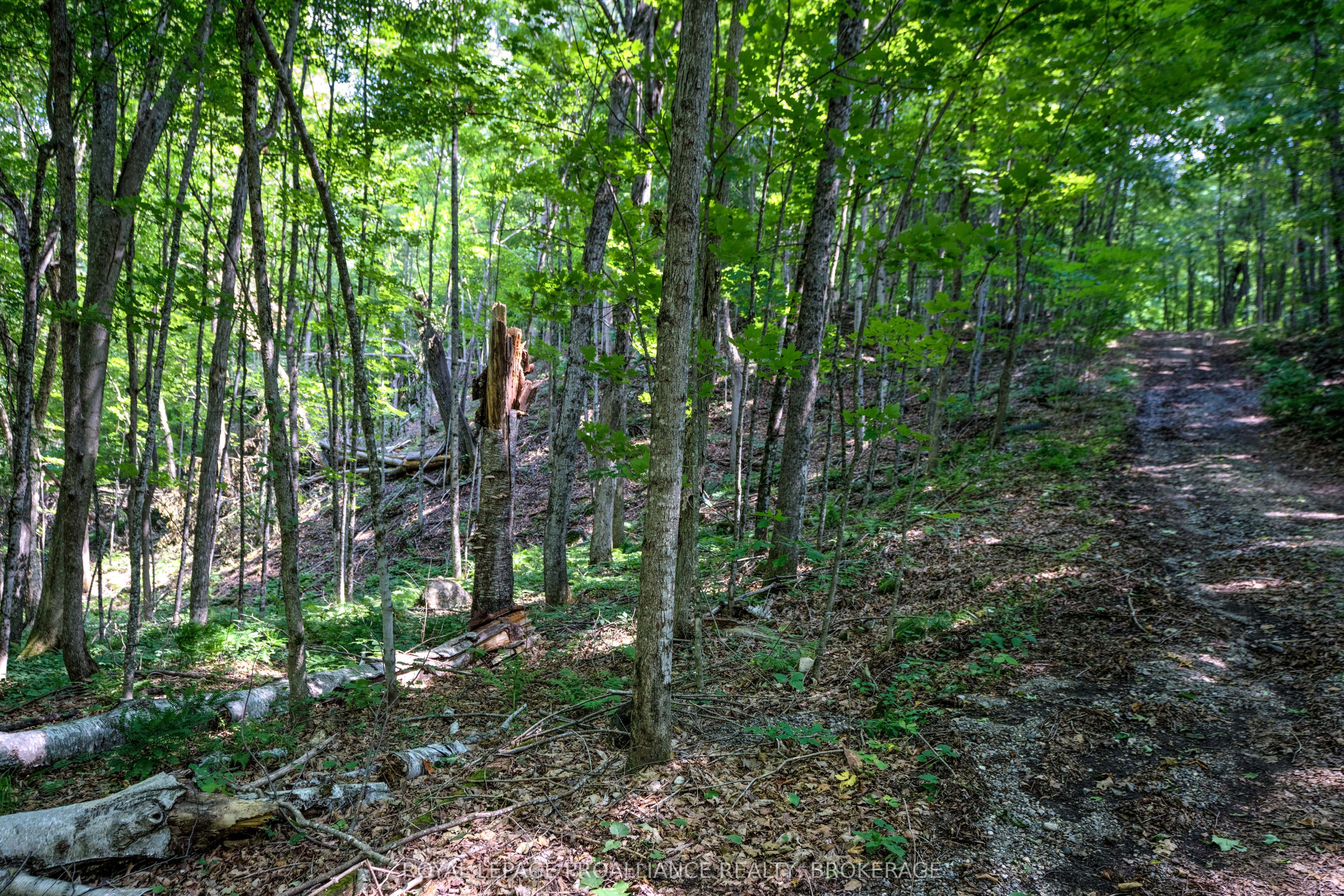 98 Rocky Ridge Lane Property Photo 6