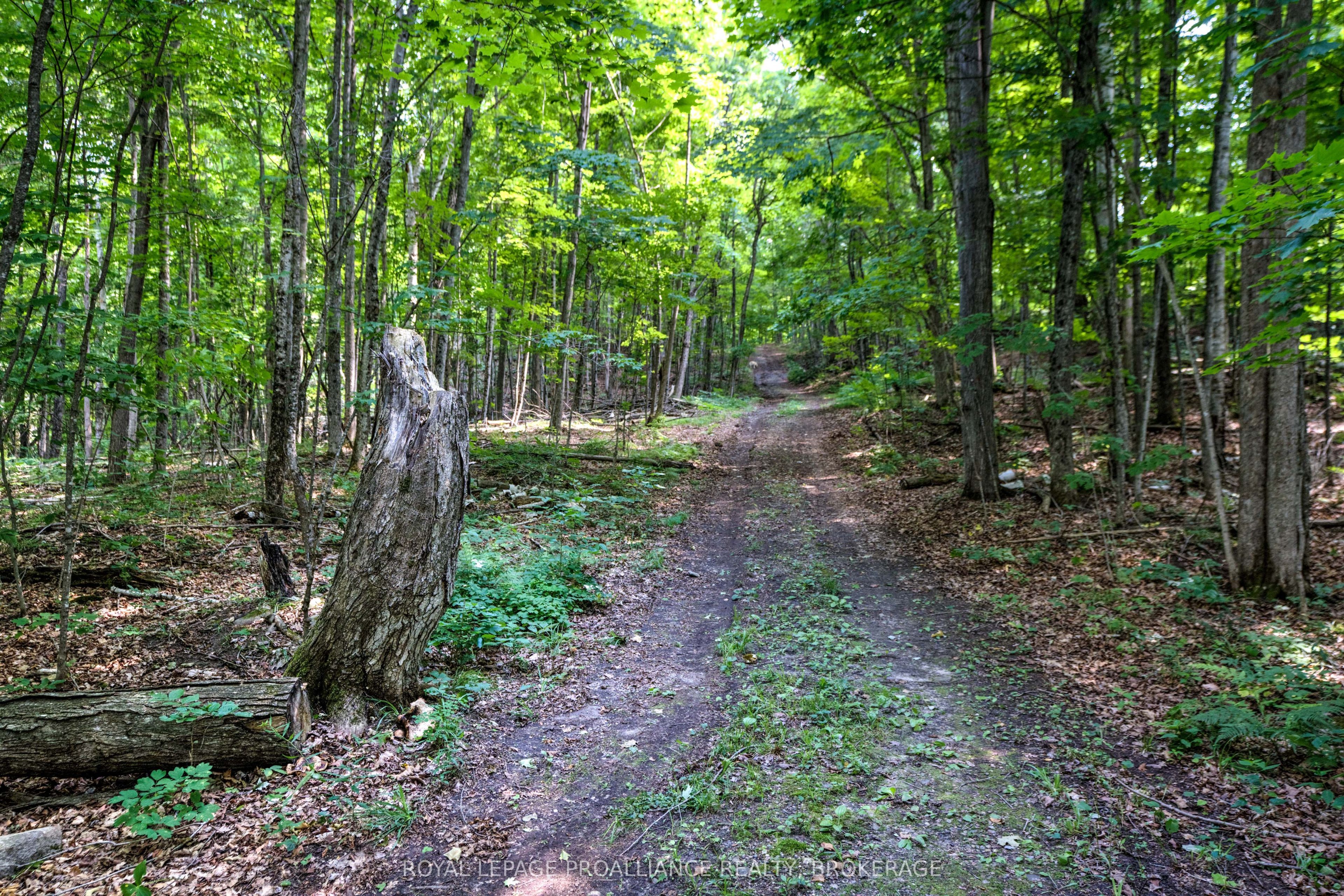 98 Rocky Ridge Lane Property Photo 7