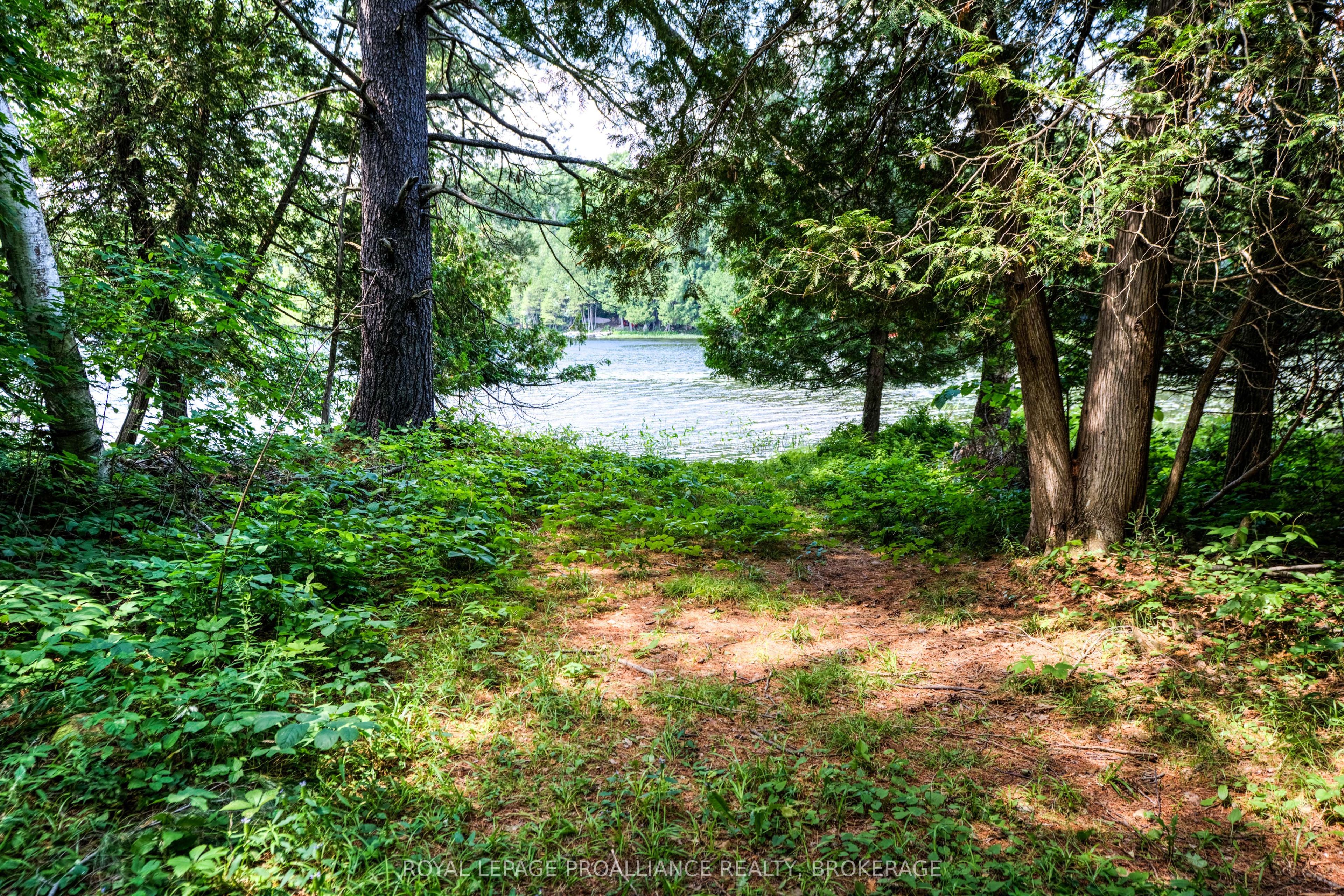 98 Rocky Ridge Lane Property Photo 8