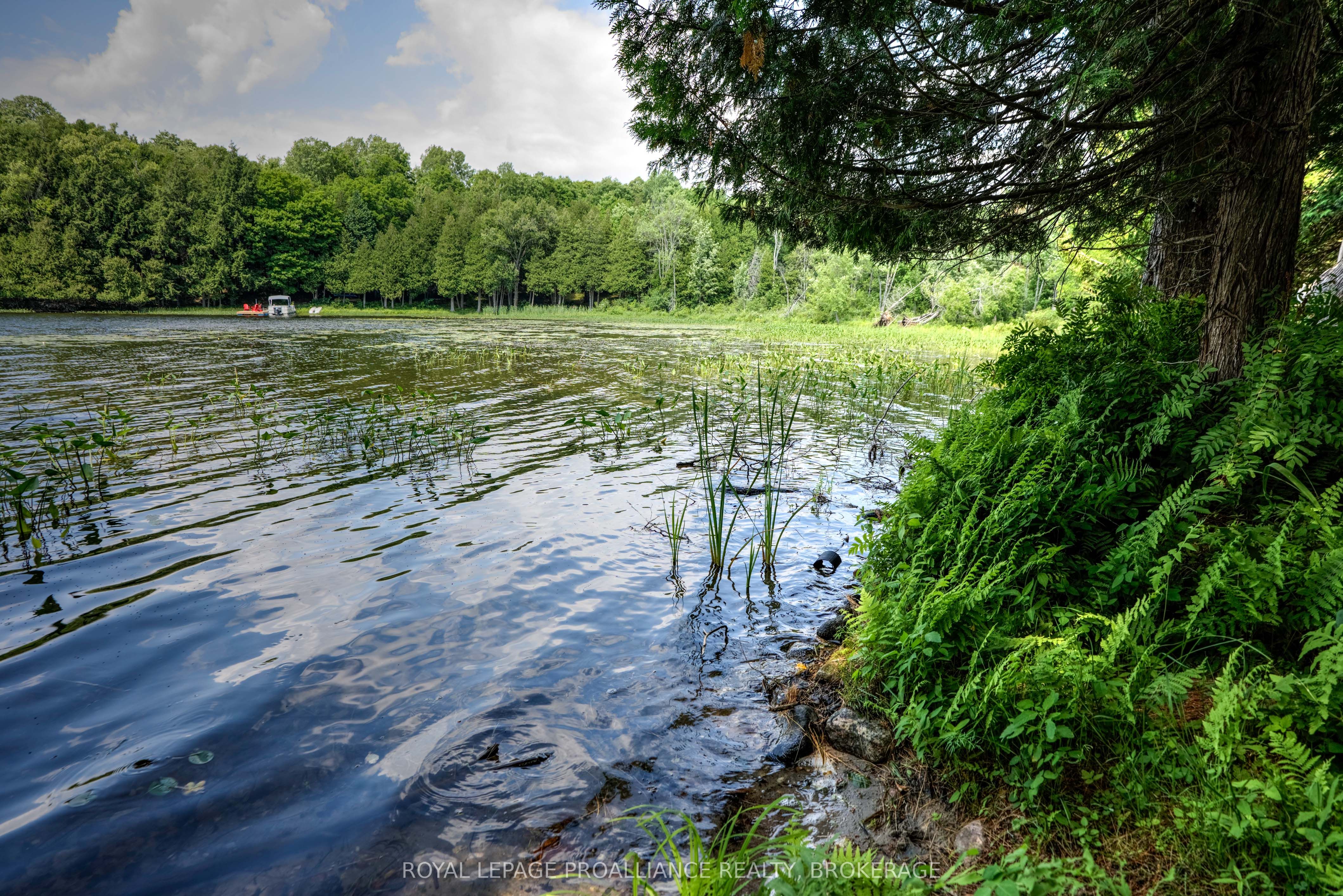 98 Rocky Ridge Lane Property Photo 10
