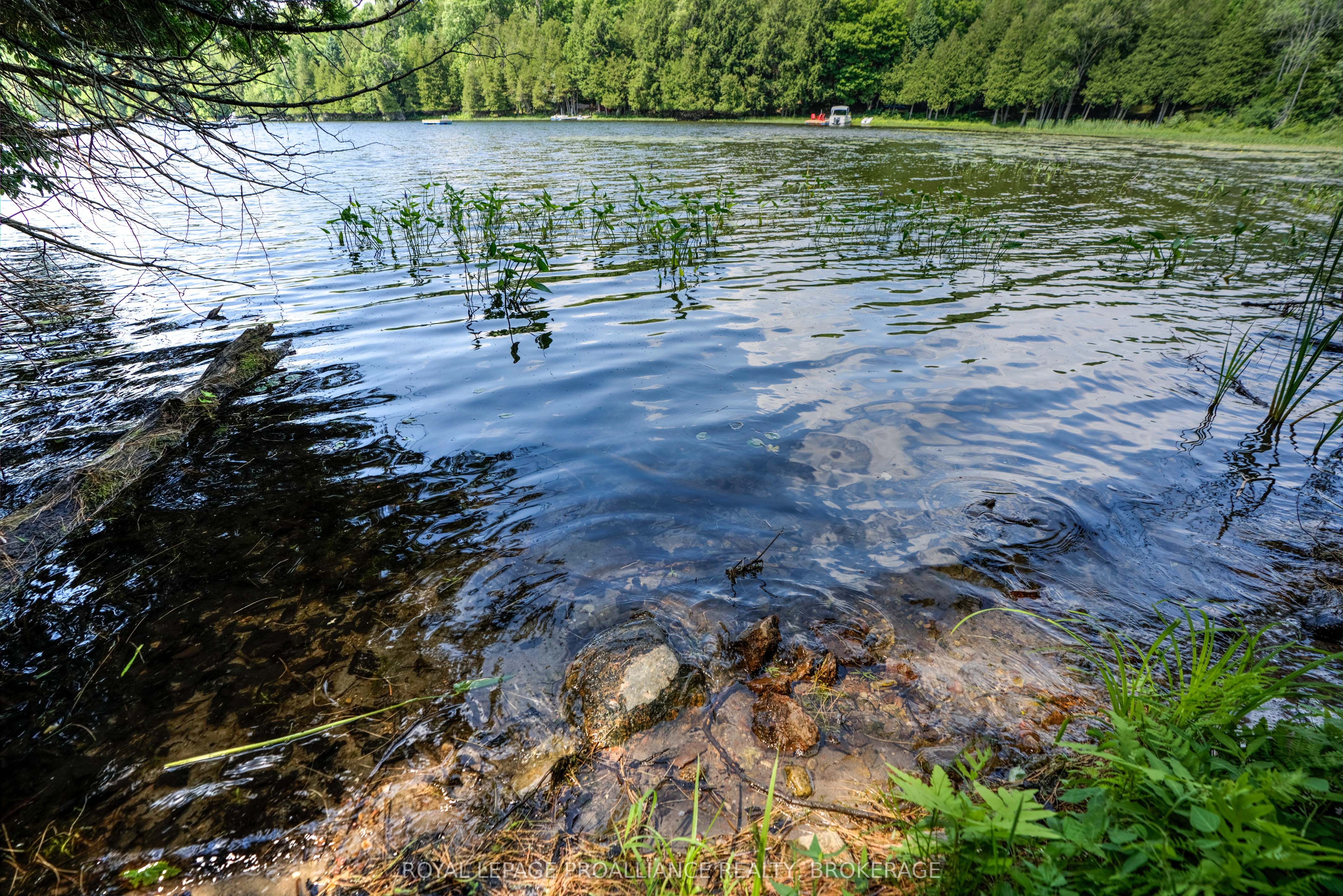 98 Rocky Ridge Lane Property Photo 11