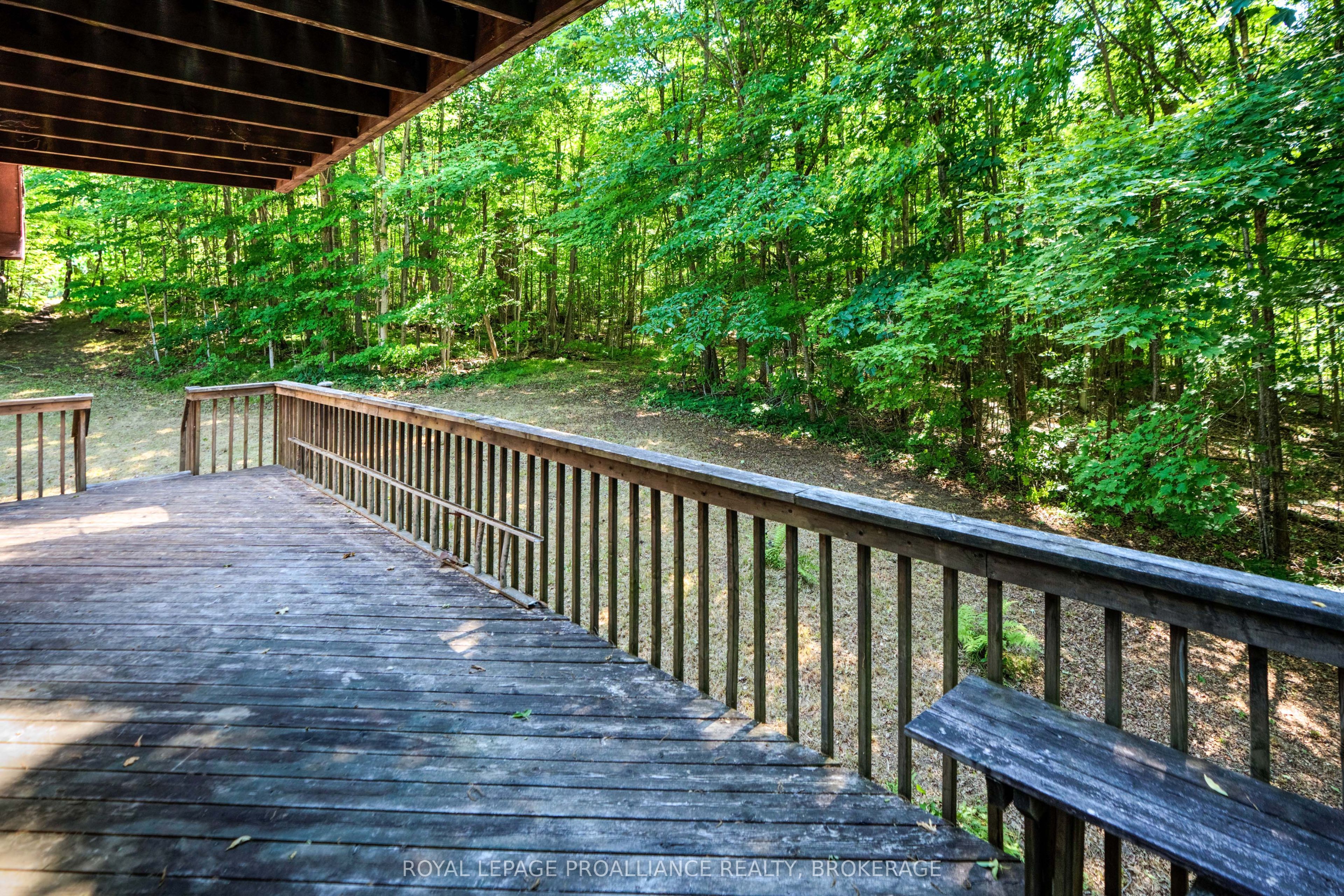 98 Rocky Ridge Lane Property Photo 14