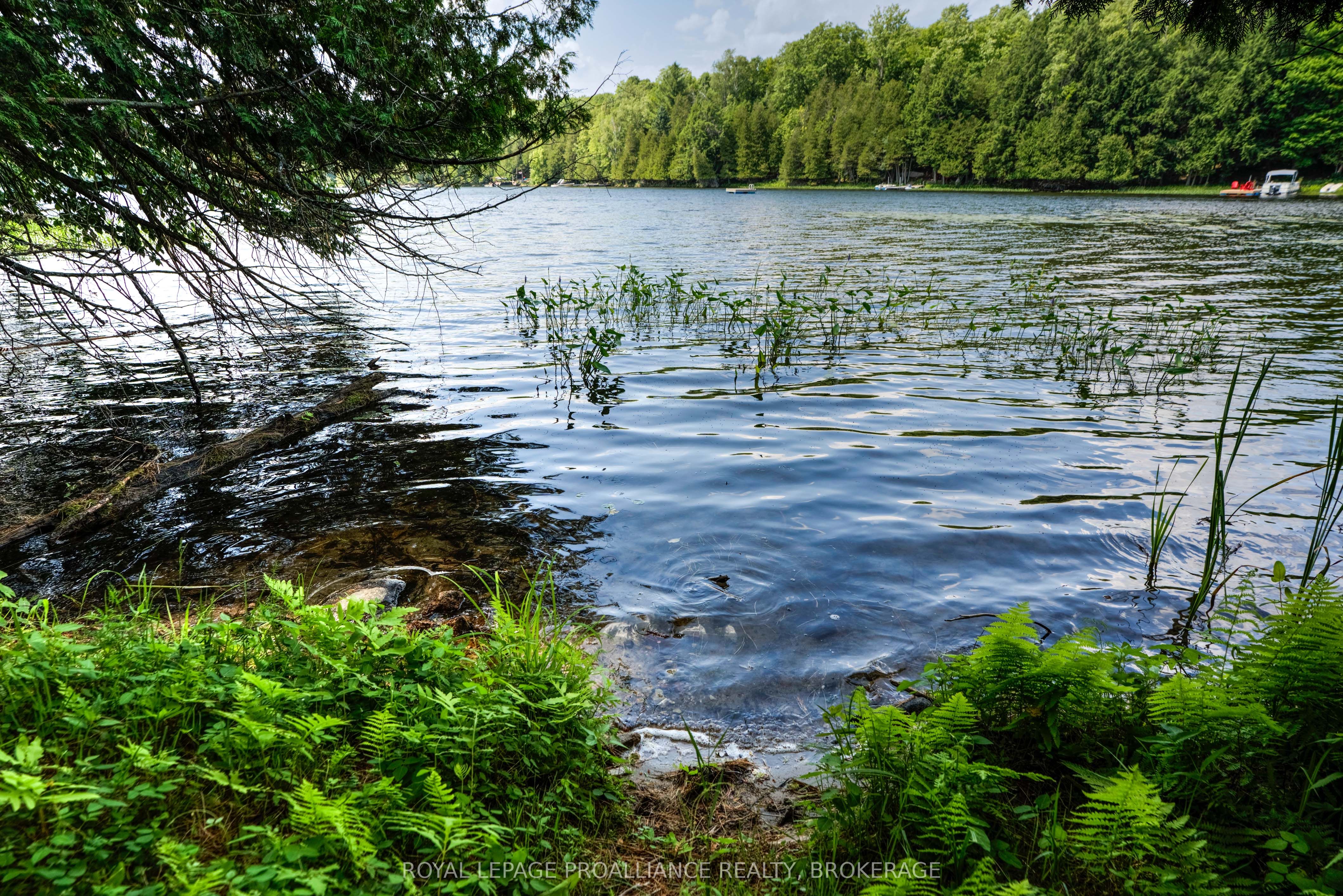 98 Rocky Ridge Lane Property Photo 31