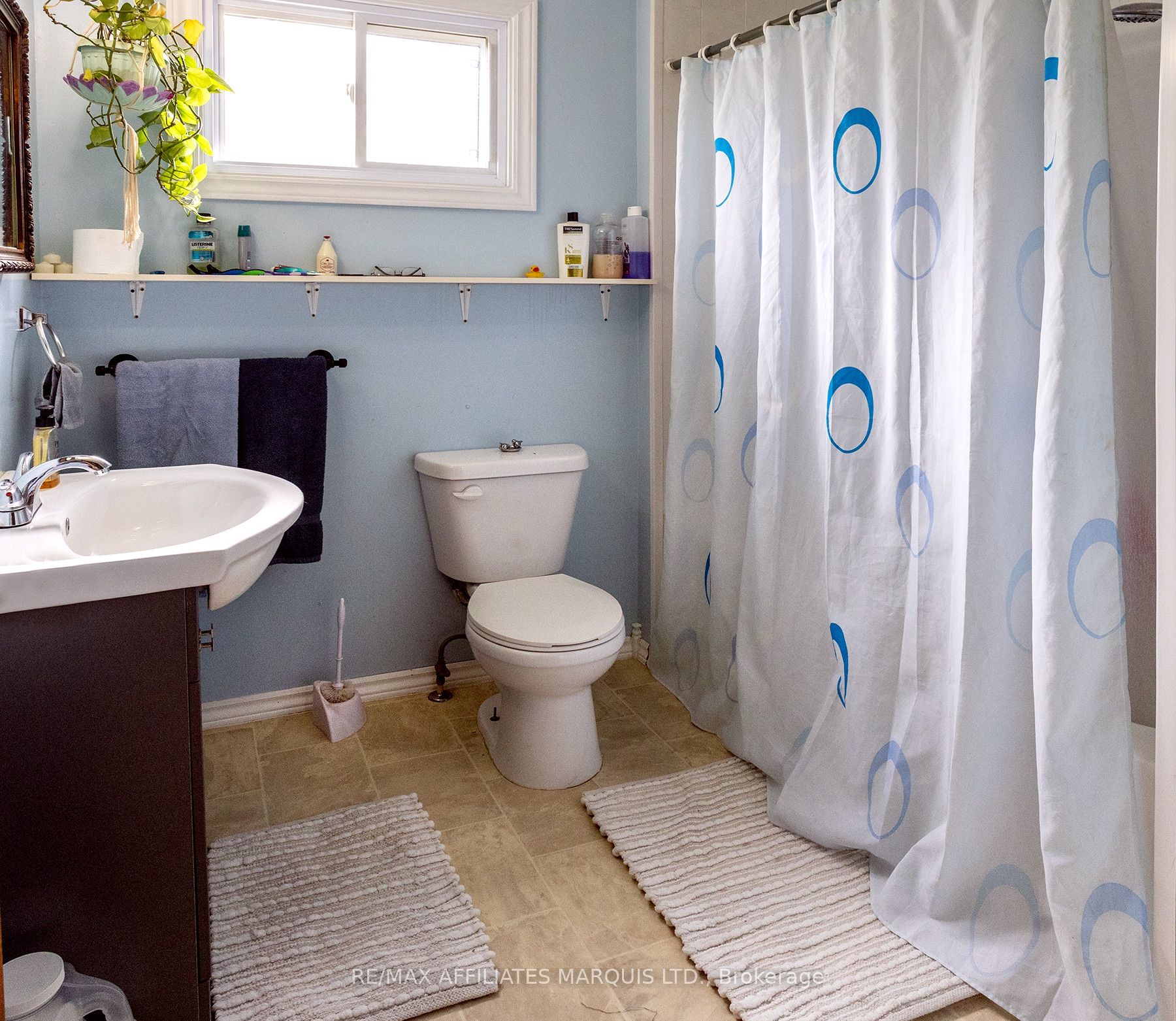 10954 Cook Road Property Photo 25