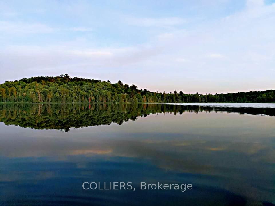 433 Cardwell Lake Road Property Photo 15