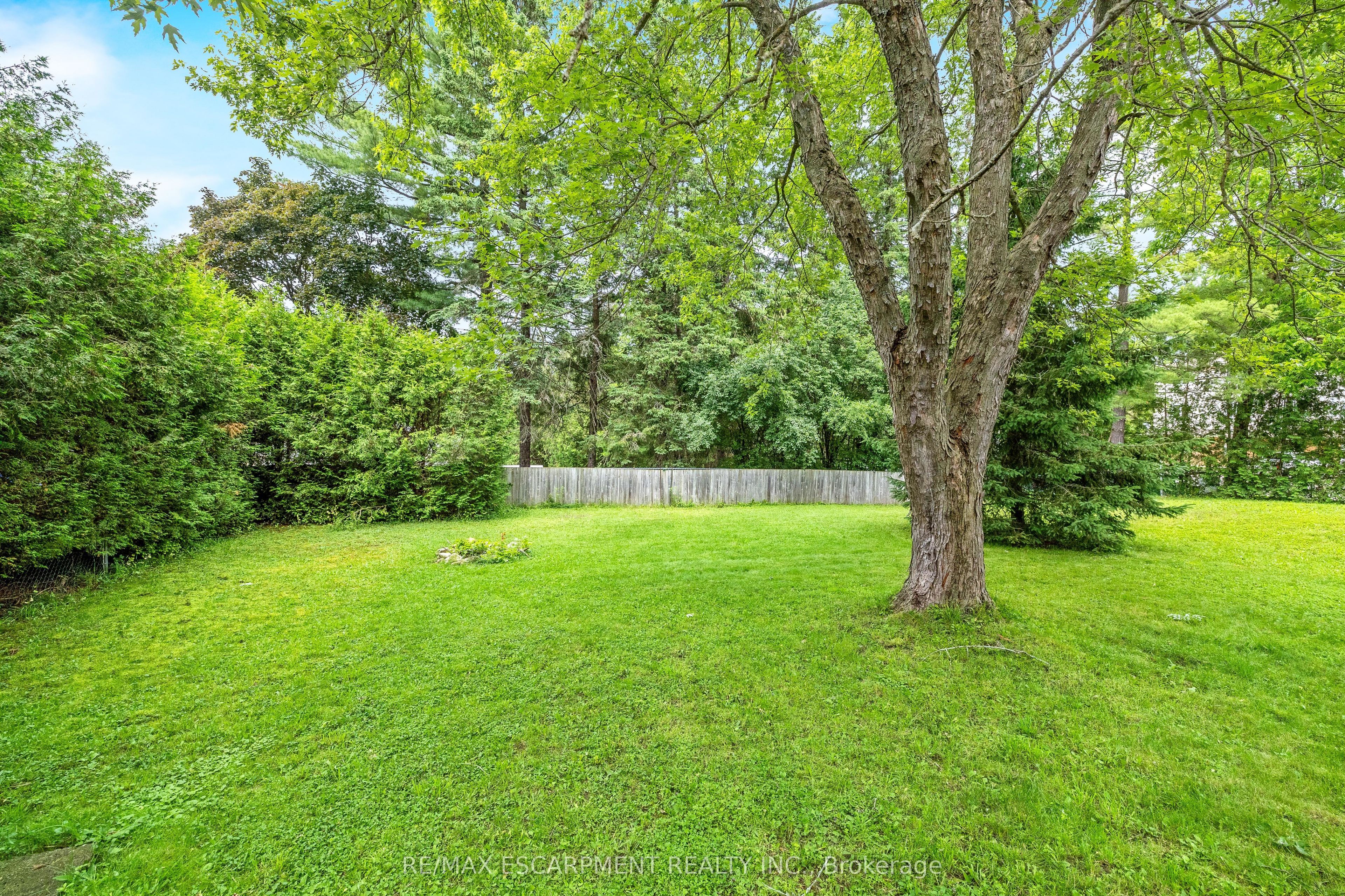 274 Alma Street Property Photo 29