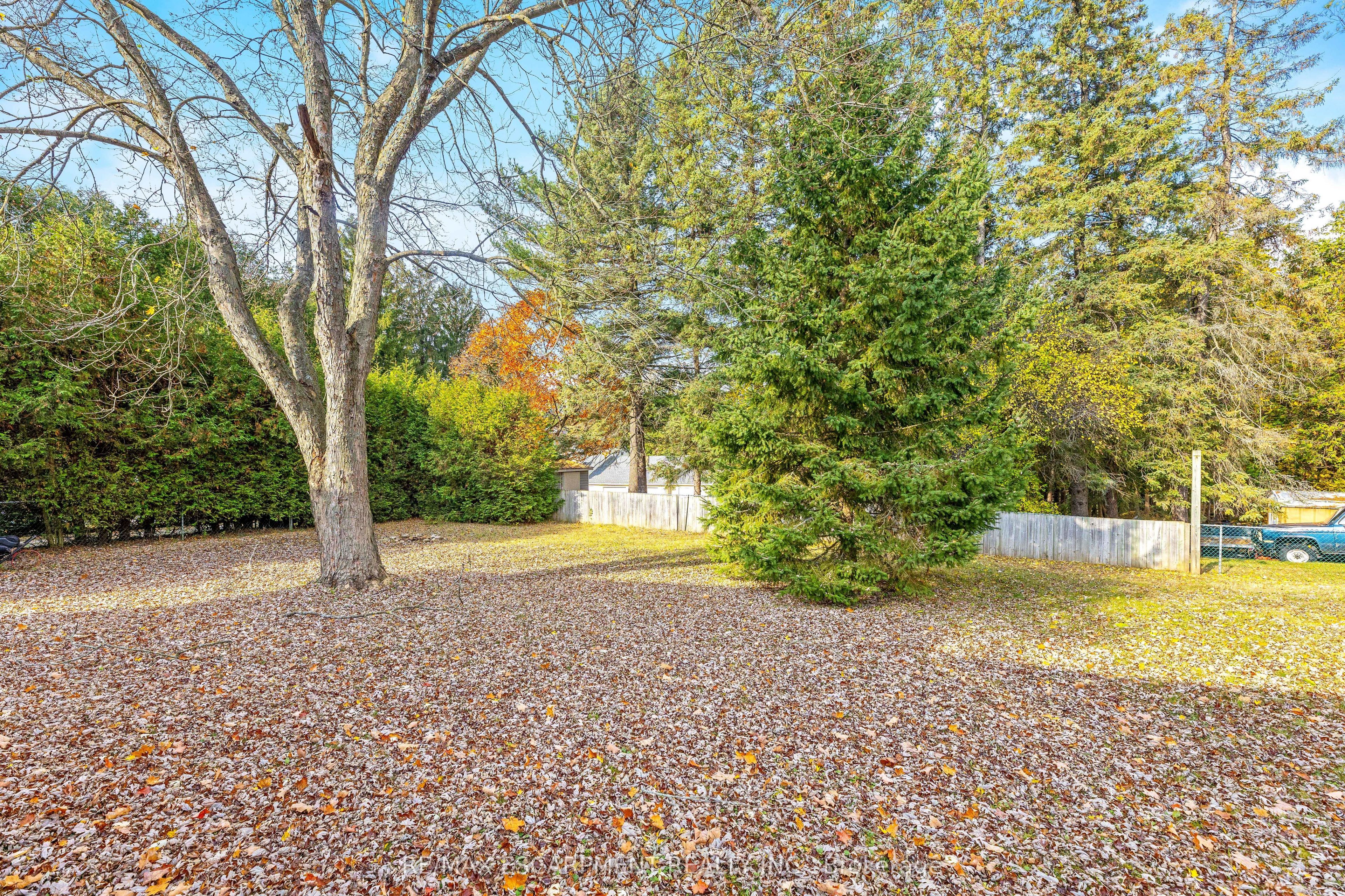 274 Alma Street Property Photo 36