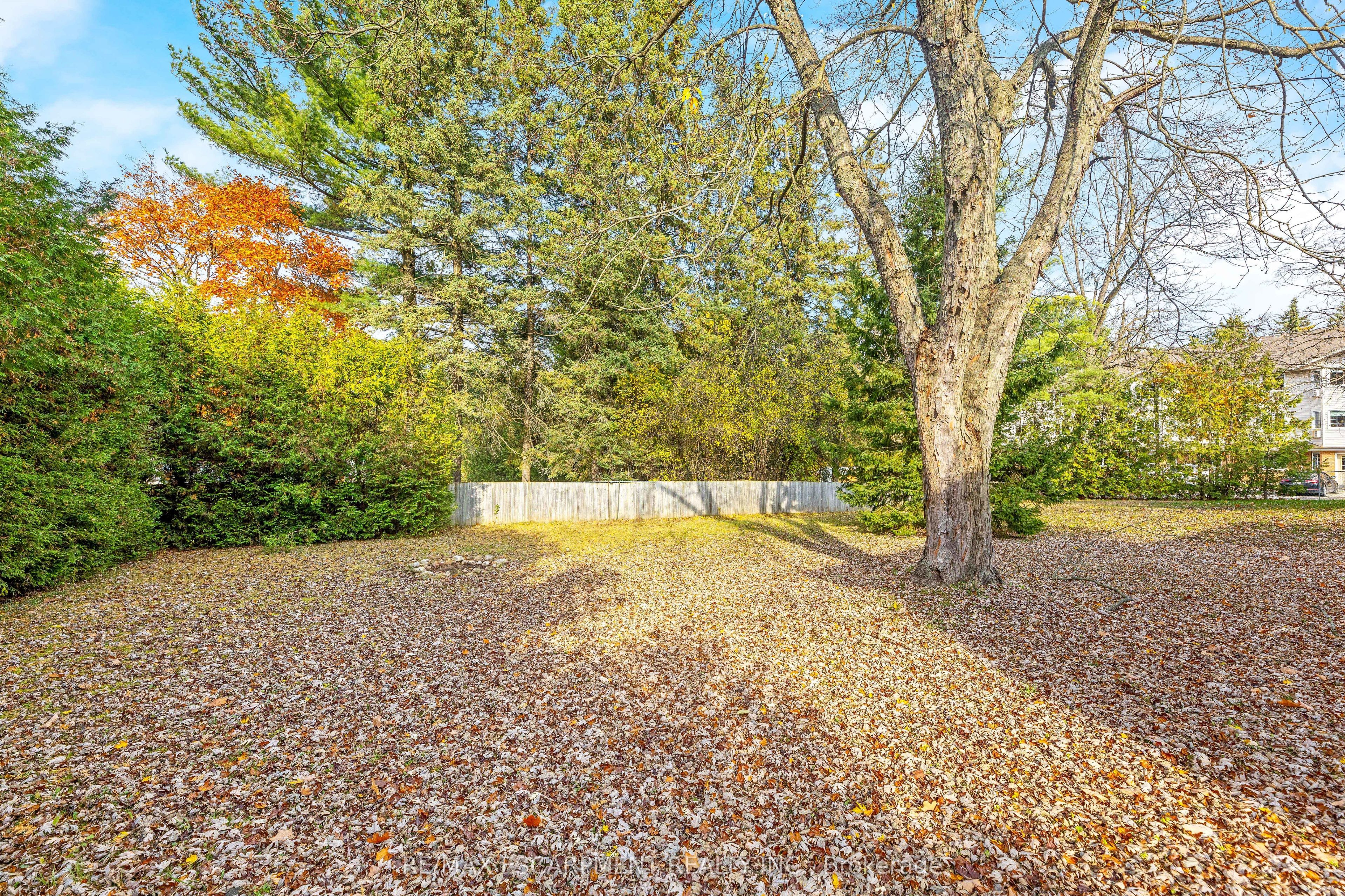 274 Alma Street Property Photo 37