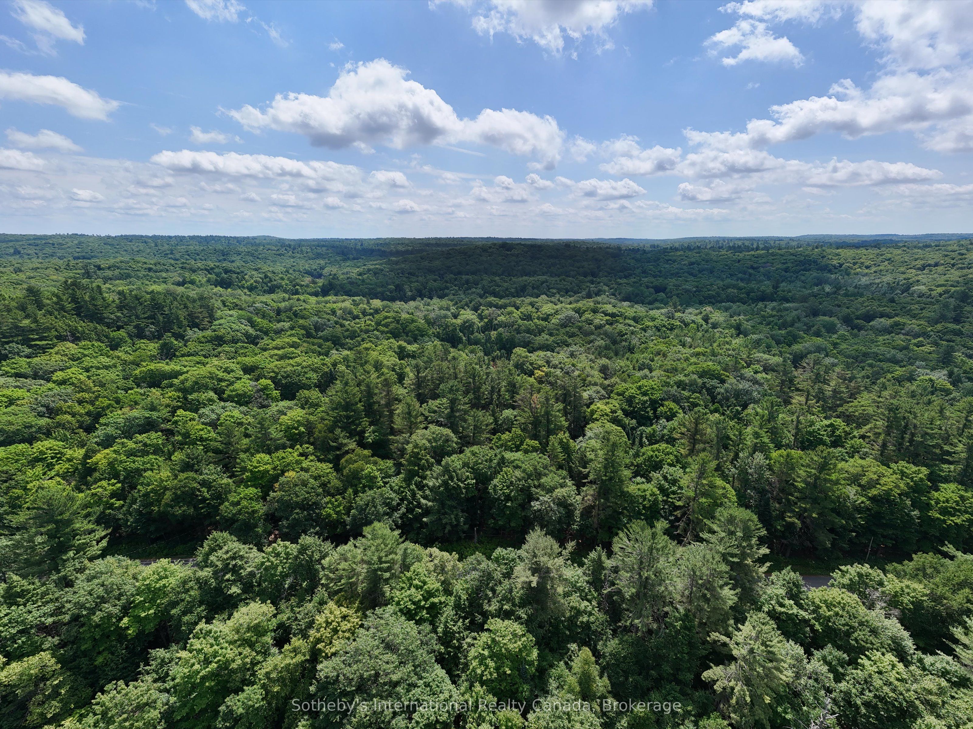 1098 Old Hwy 117 N/a Property Photo 3