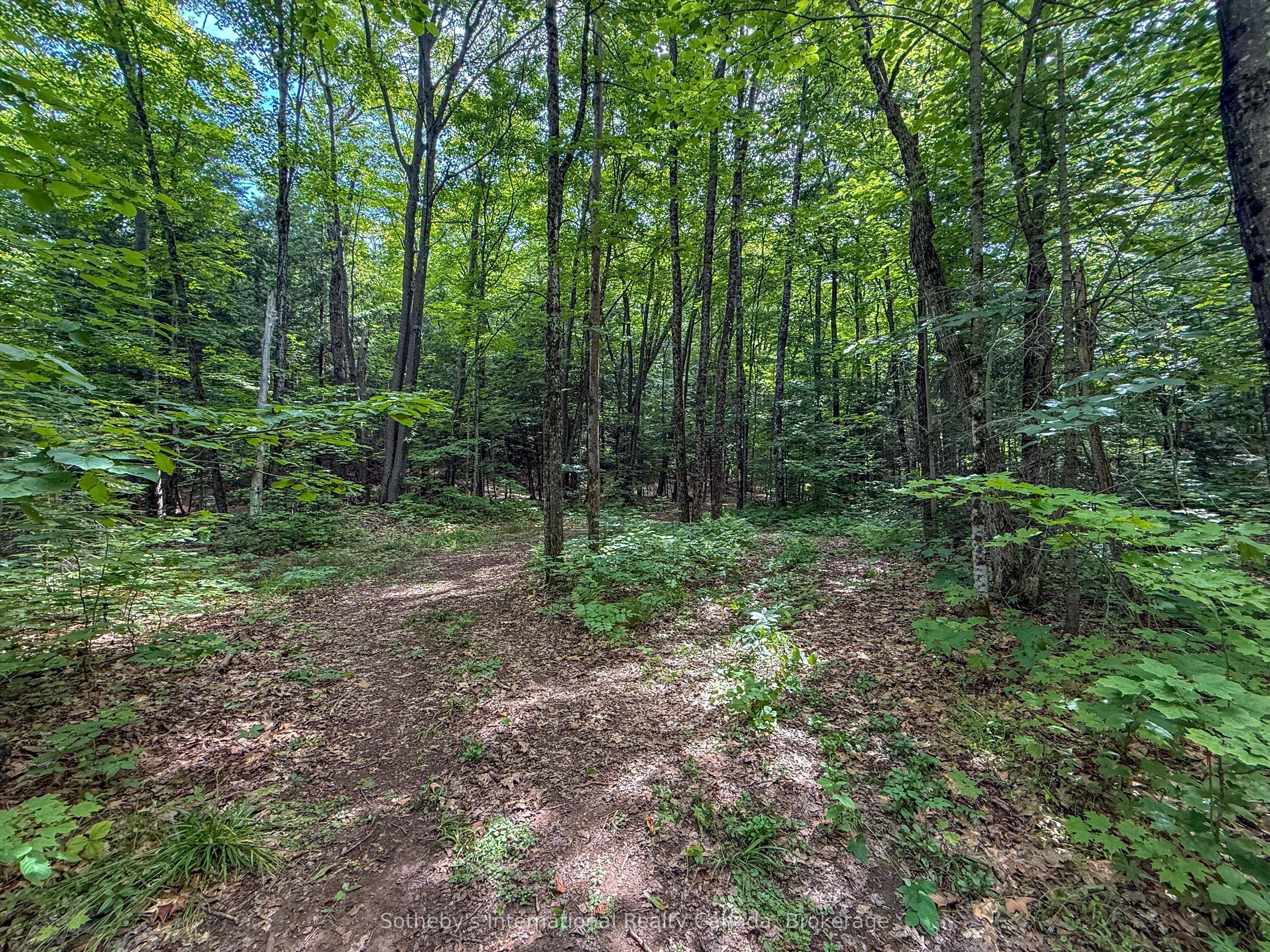 1098 Old Hwy 117 N/a Property Photo 12