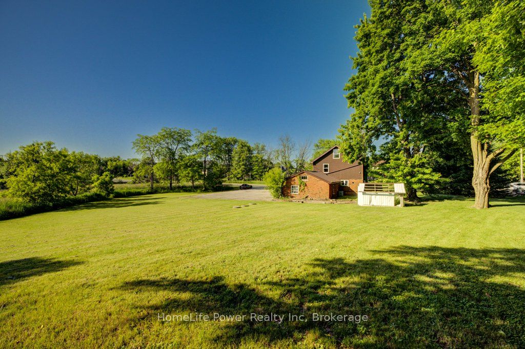 59 Queen Street Property Photo 24