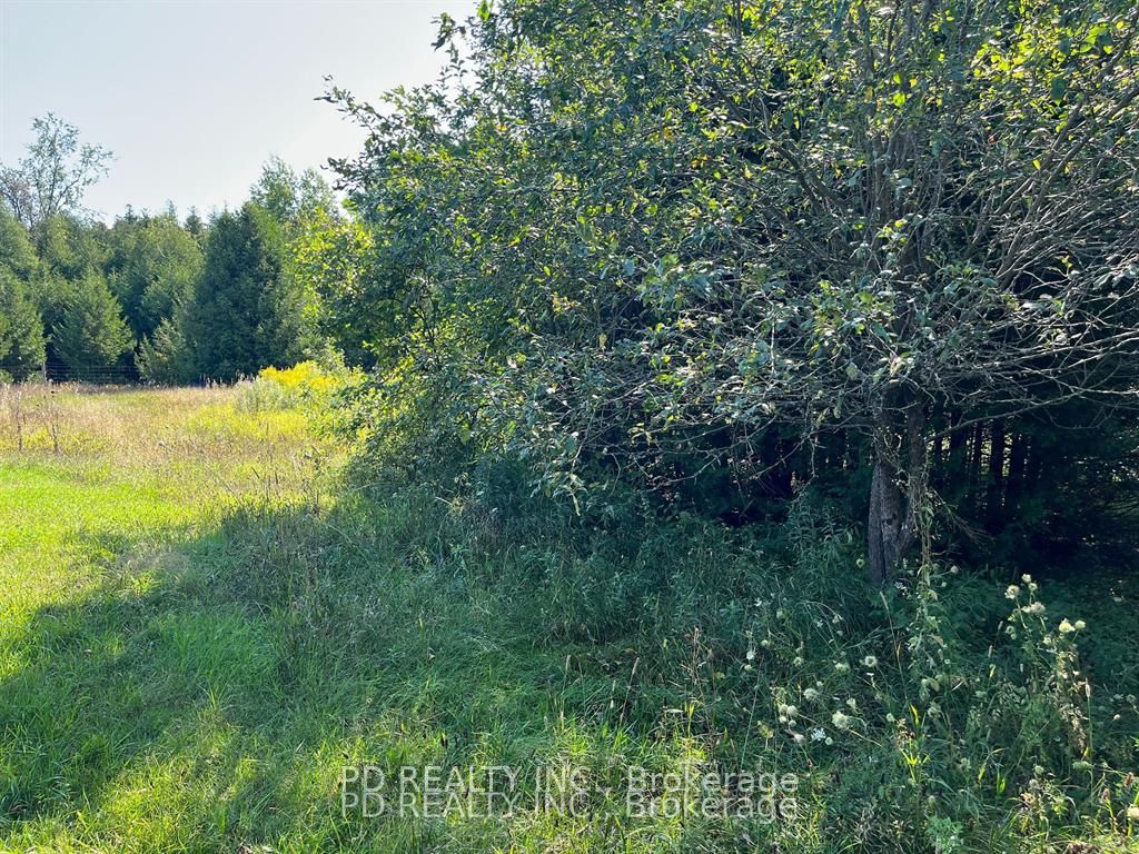 N/a Asphodel 12th Line N/a Property Photo 7