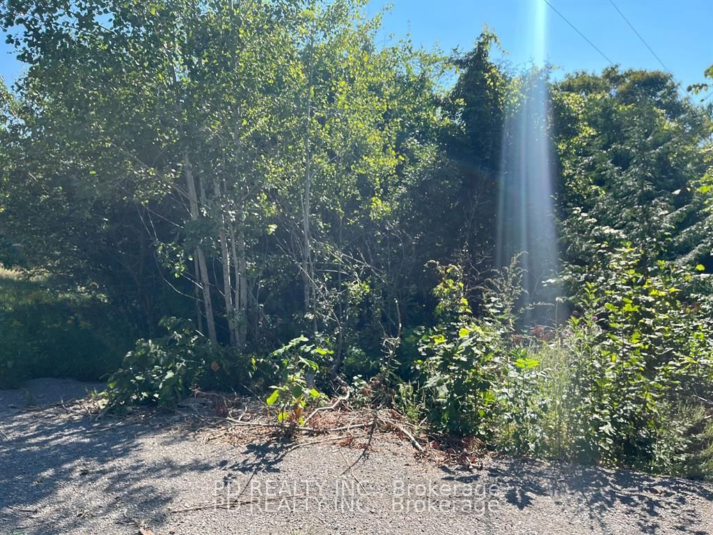 N/a Asphodel 12th Line N/a Property Photo 8