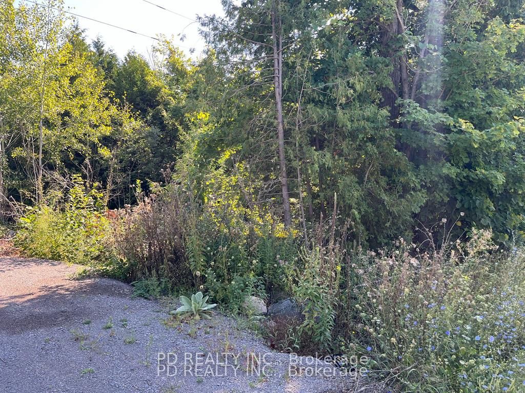 N/a Asphodel 12th Line N/a Property Photo 9