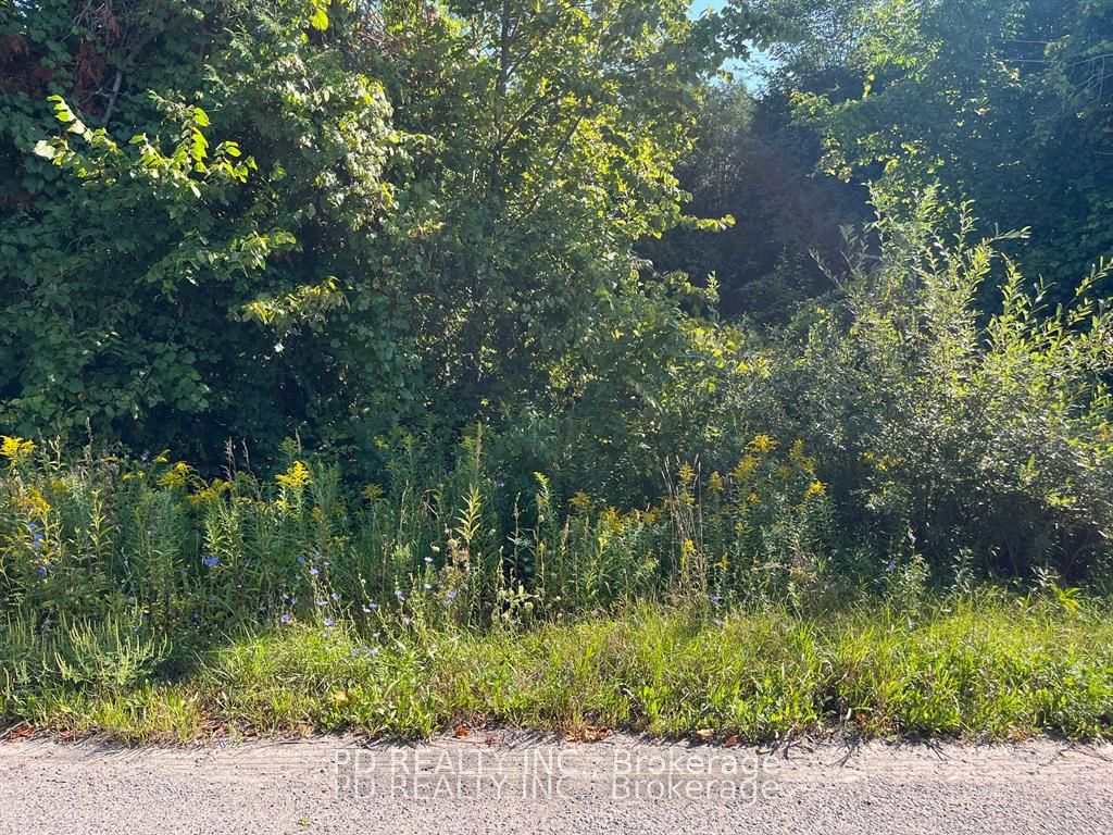 N/a Asphodel 12th Line N/a Property Photo 10