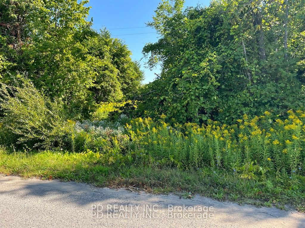 N/a Asphodel 12th Line N/a Property Photo 11
