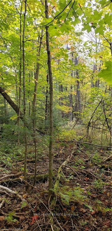 3339 Highway 534 N/a Property Photo 2
