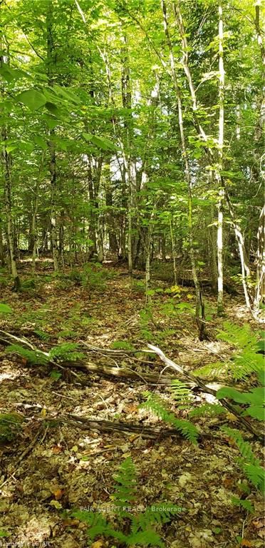 3339 Highway 534 N/a Property Photo 3