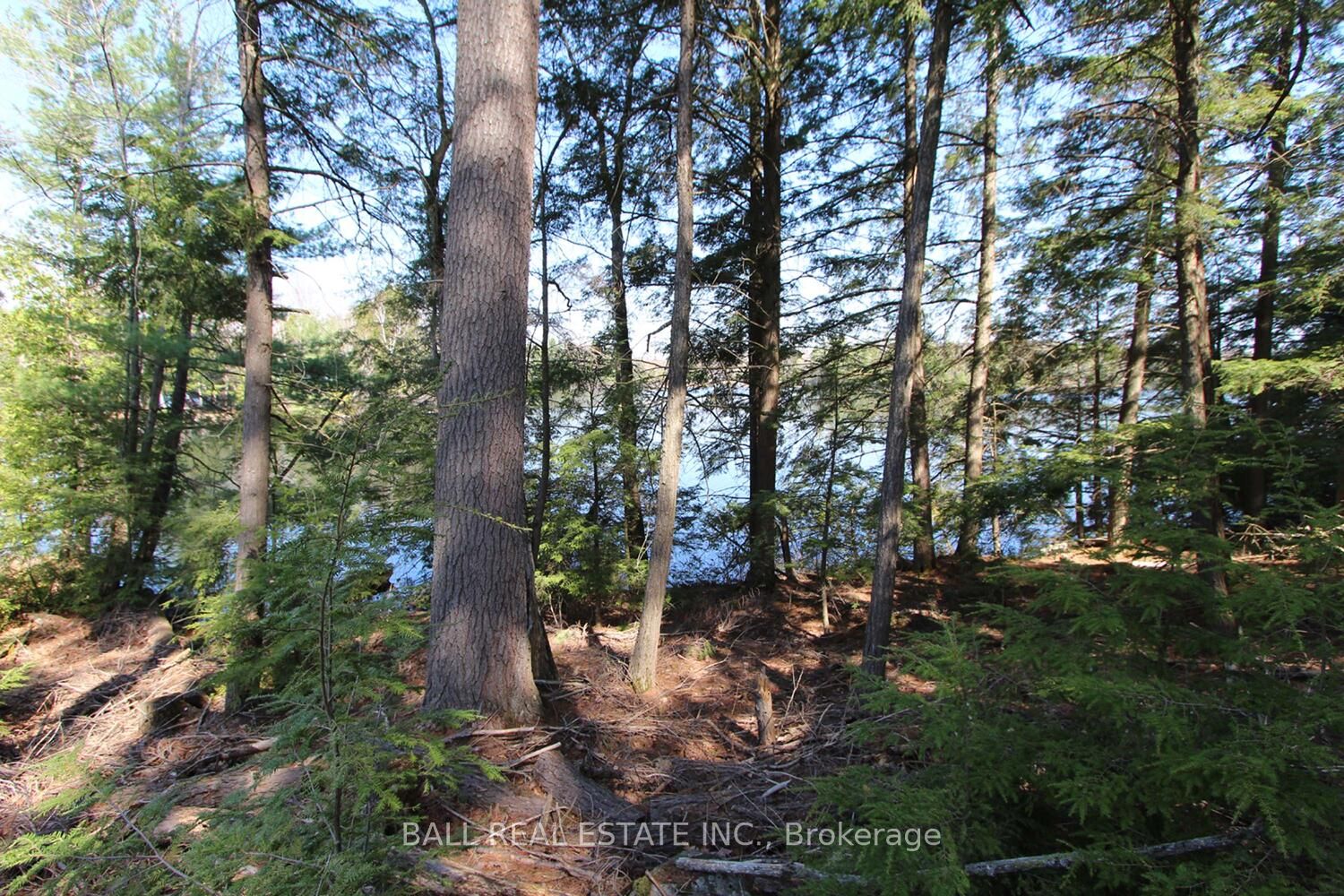 Pt2&3 Fire Route 223 N/a Property Photo 1