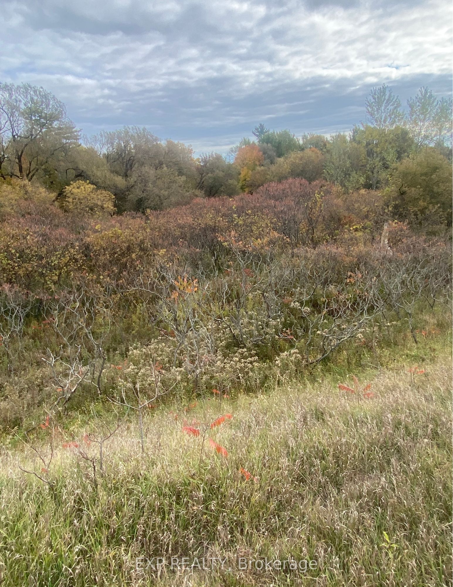 0 County Road 2 Road Property Photo 2