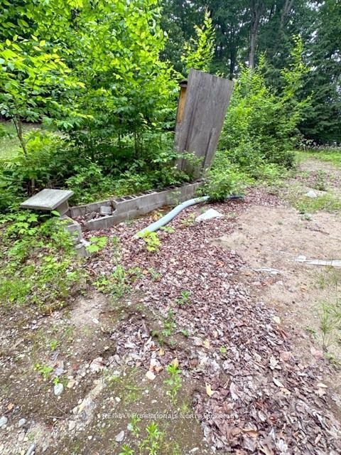 1167 Leon's Lane Property Photo 17