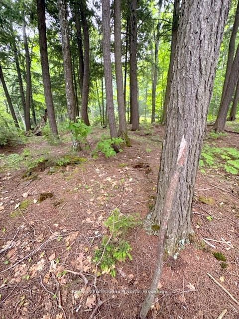 1167 Leon's Lane Property Photo 23