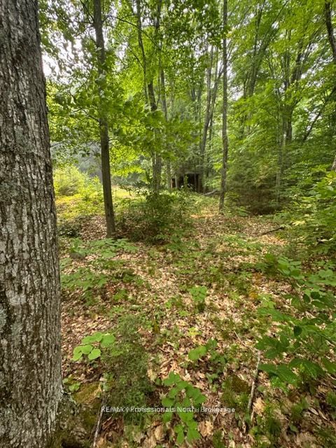 1167 Leon's Lane Property Photo 26