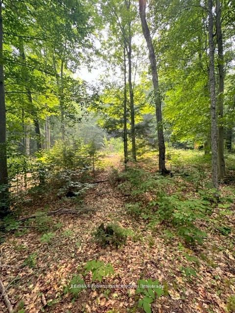 1167 Leon's Lane Property Photo 27