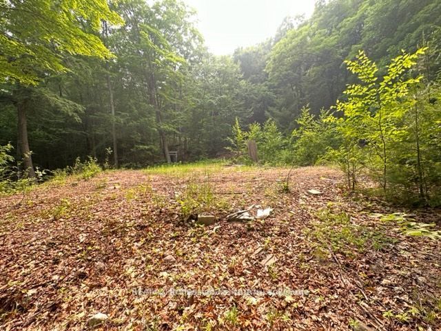 1167 Leon's Lane Property Photo 28