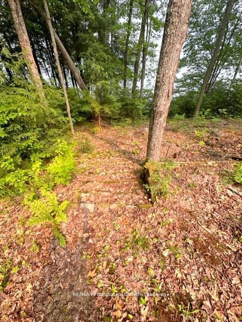 1167 Leon's Lane Property Photo 29