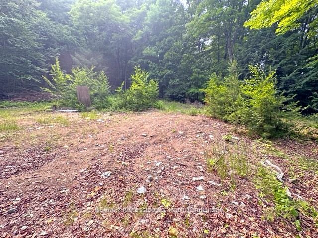 1167 Leon's Lane Property Photo 31
