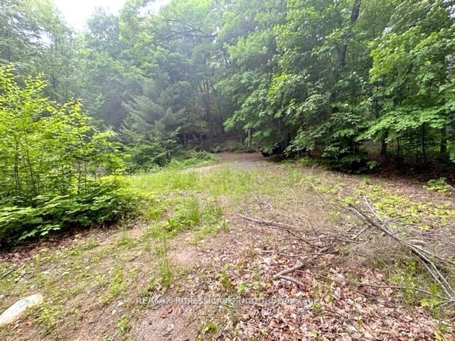 1167 Leon's Lane Property Photo 32