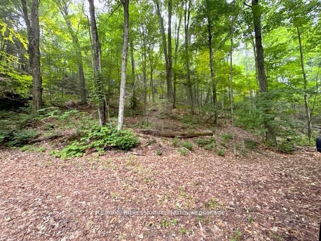 1167 Leon's Lane Property Photo 35