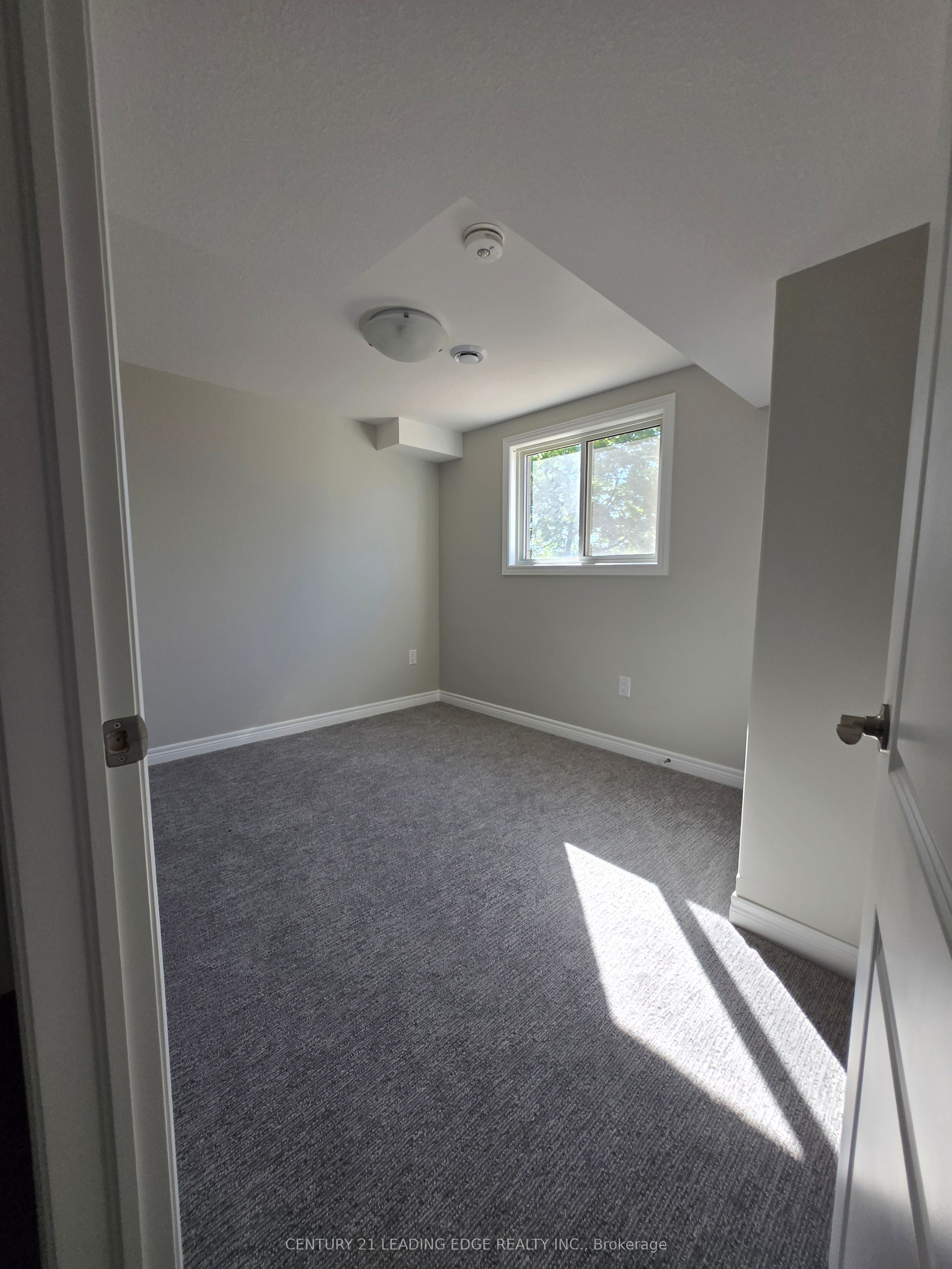 66 Willson Drive Upper Property Photo 22