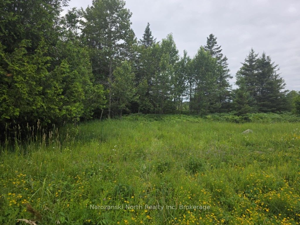 1119 Blue Road Property Photo 1