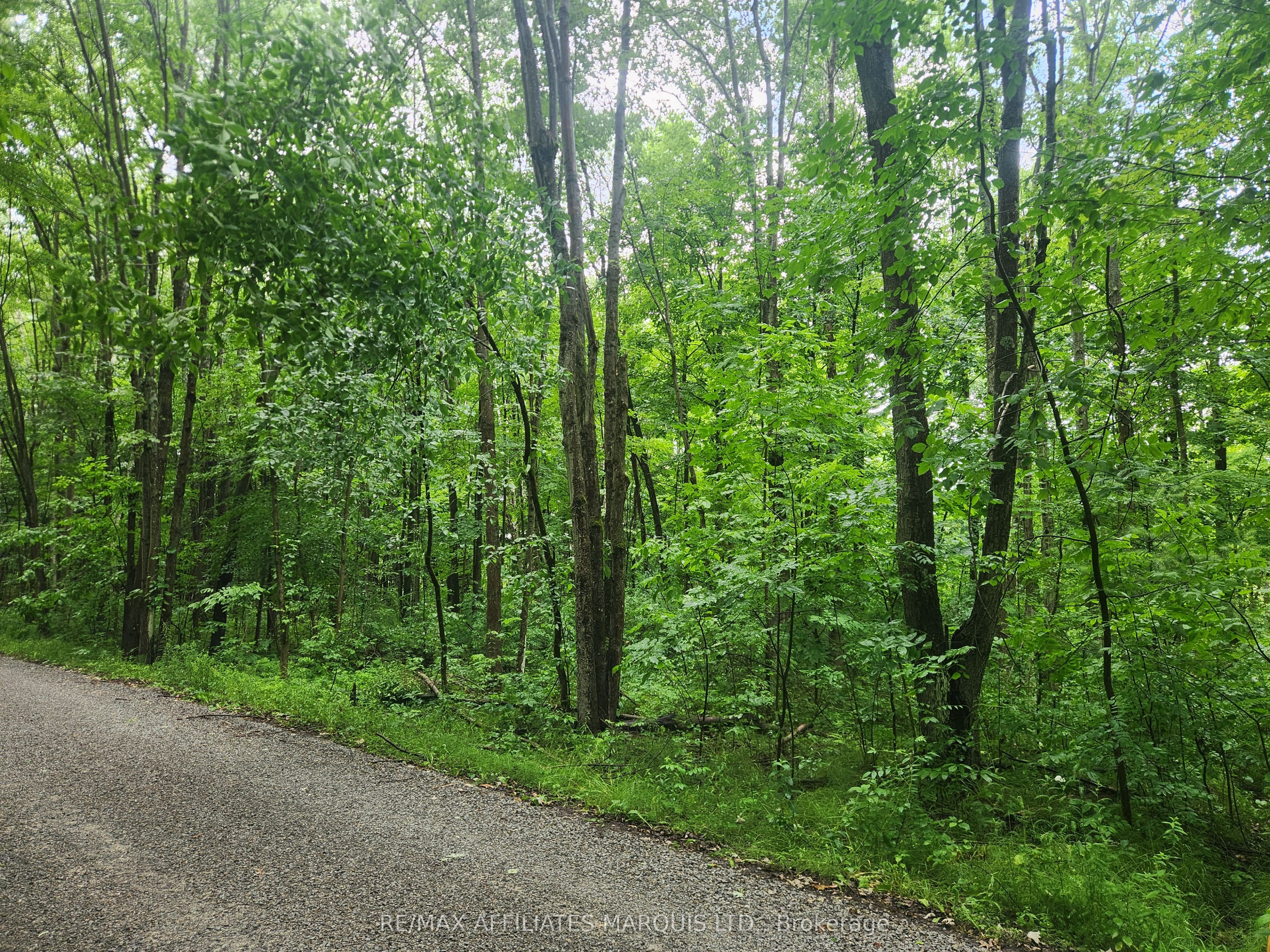 Lot Cedar Sands Road Property Photo 2