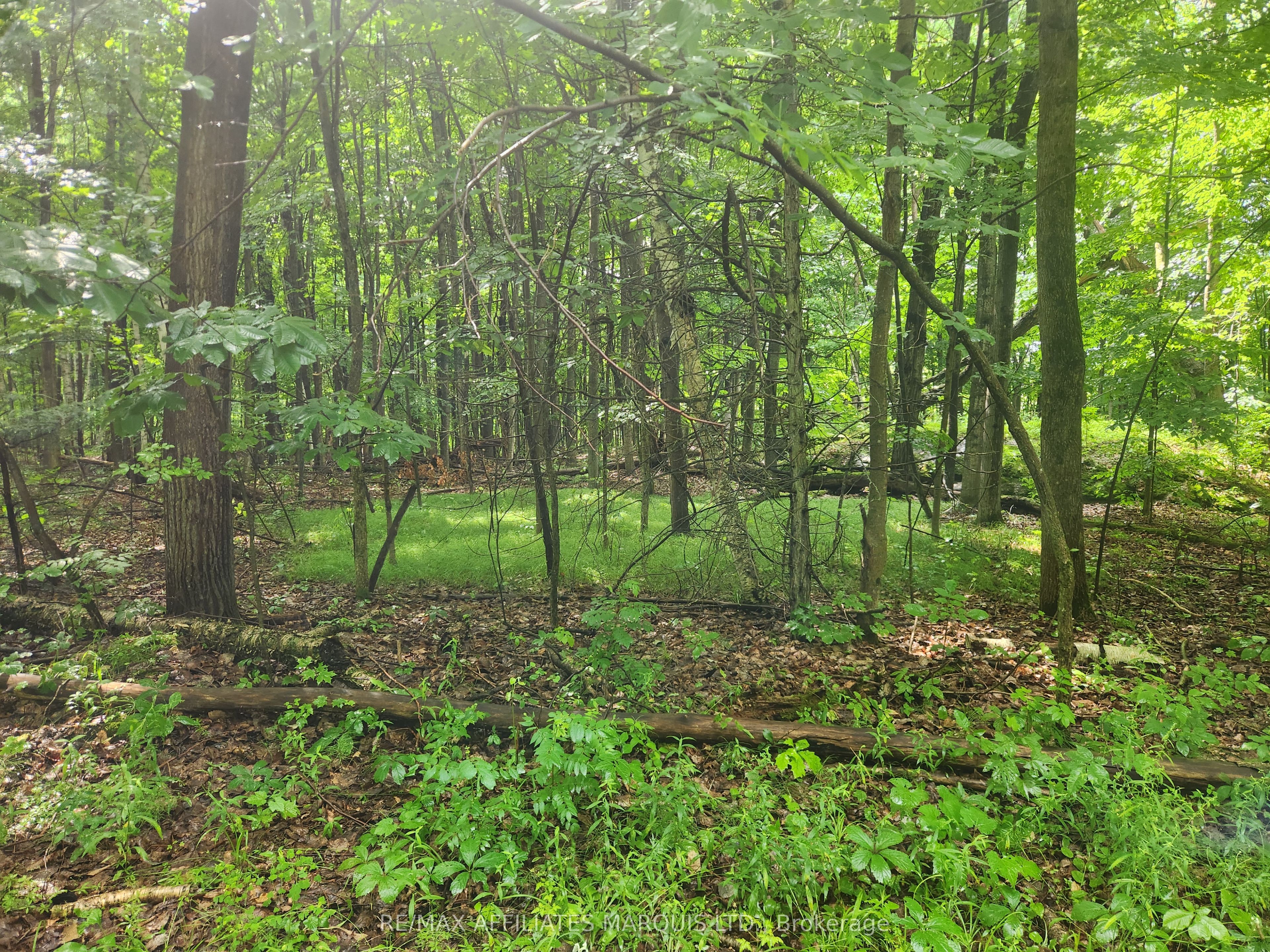 Lot Cedar Sands Road Property Photo 3