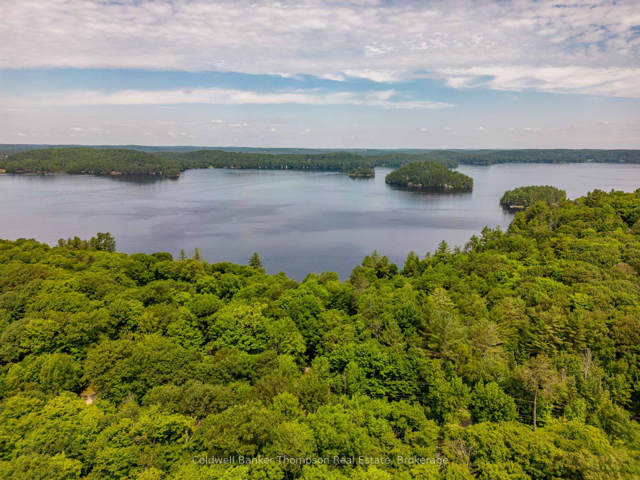 1090 Muskoka #10 Road Property Photo 41