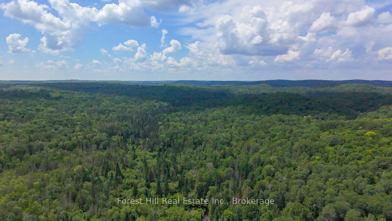 750 Whitehouse Road S Property Photo 5