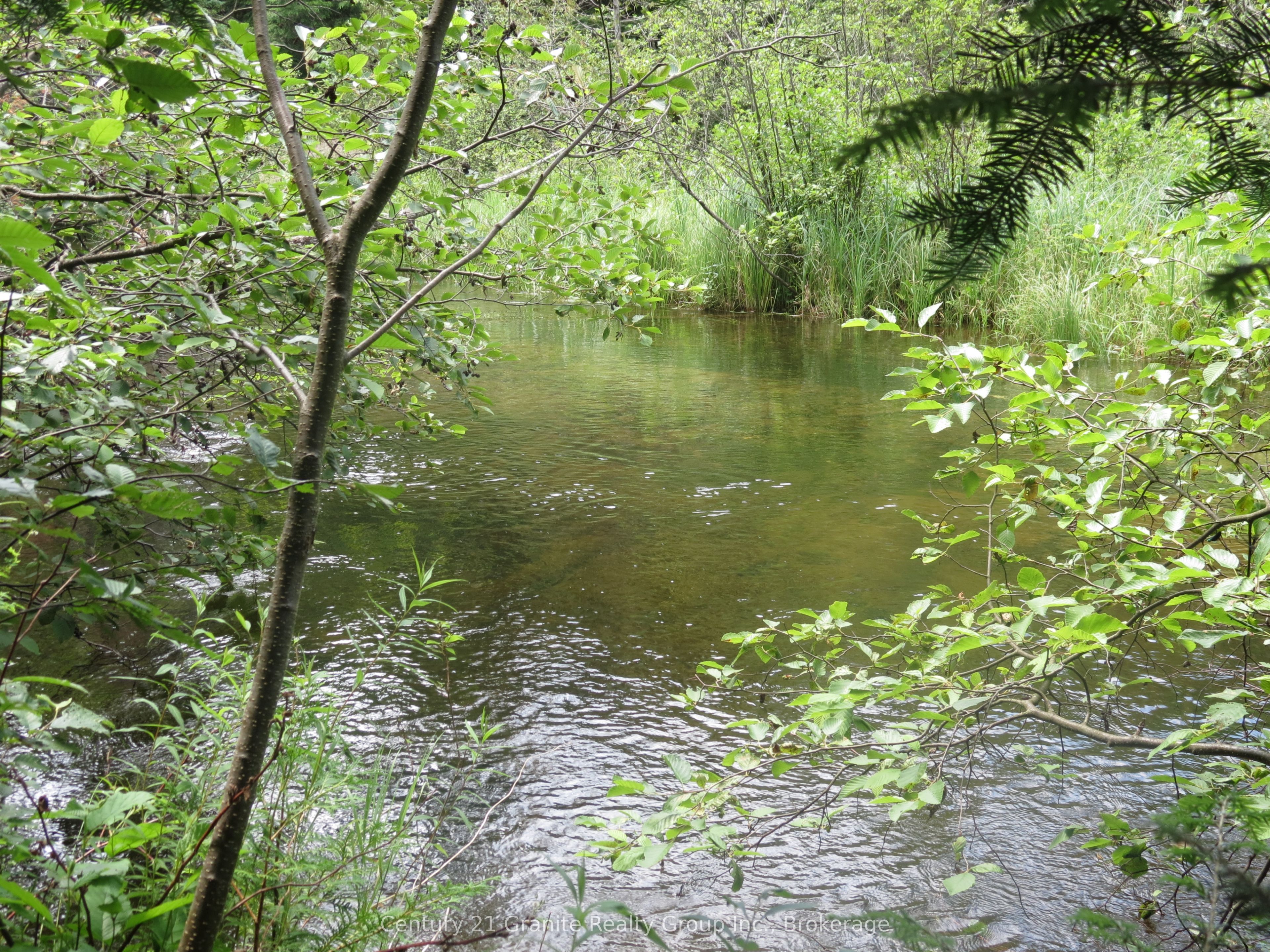 1053 Buttercup Drive Property Photo 25